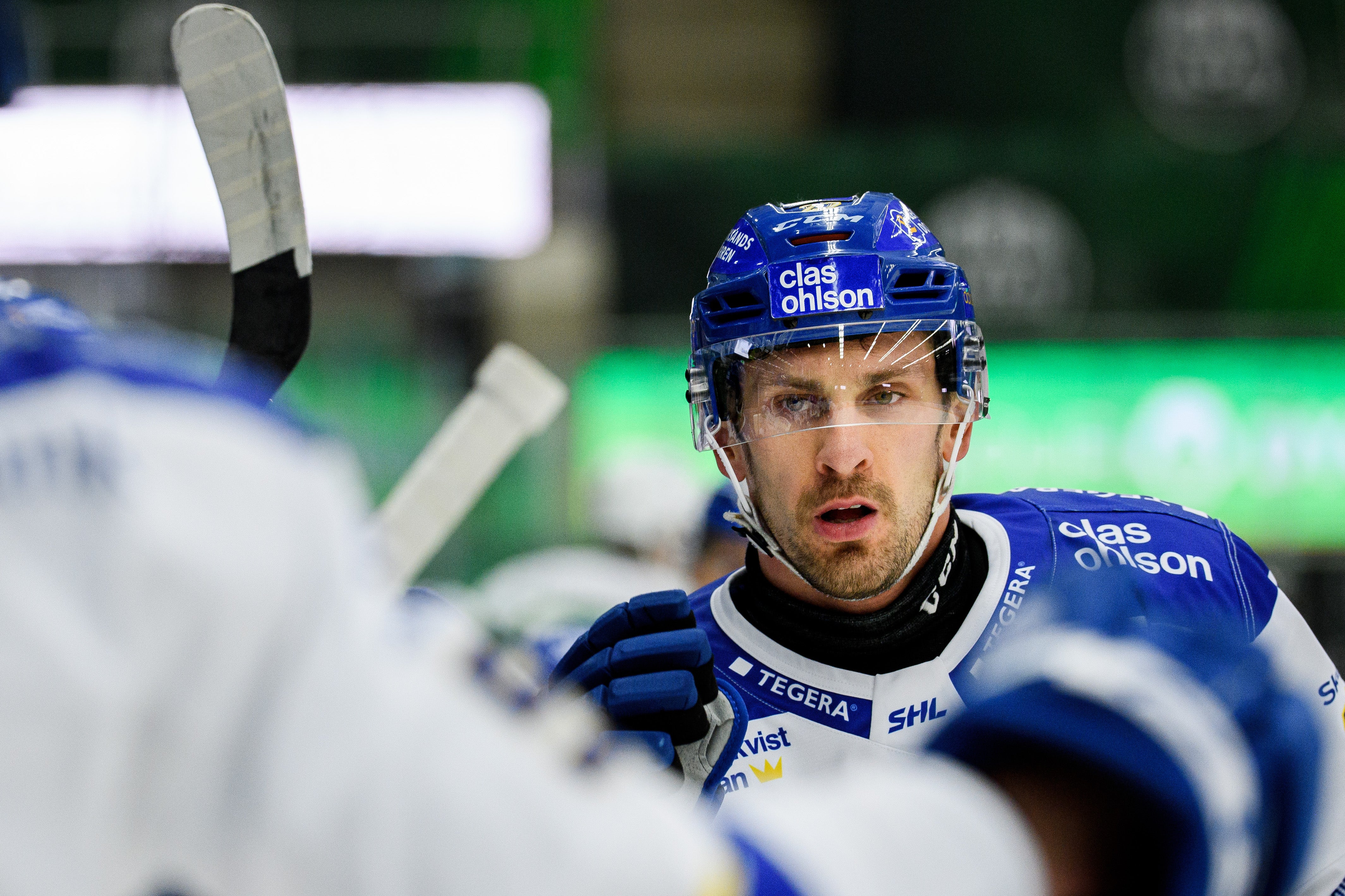 (17341) Marek Hrivik