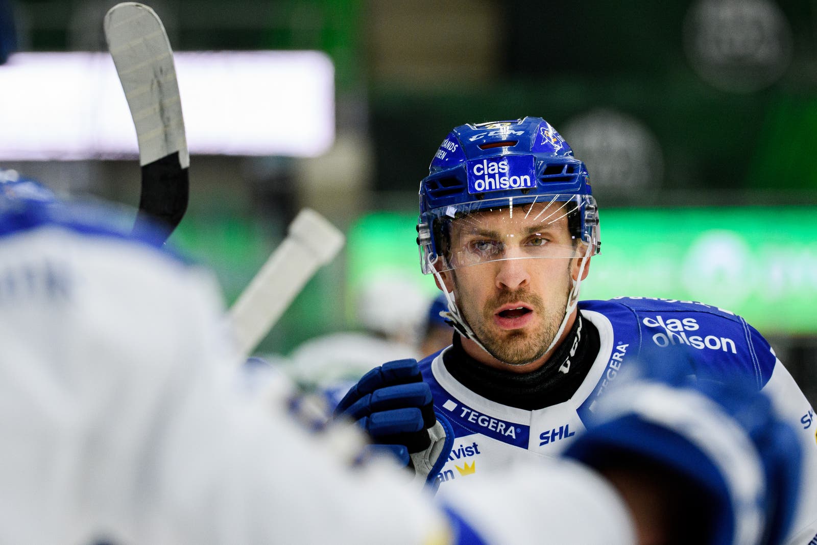 (17341) Marek Hrivik