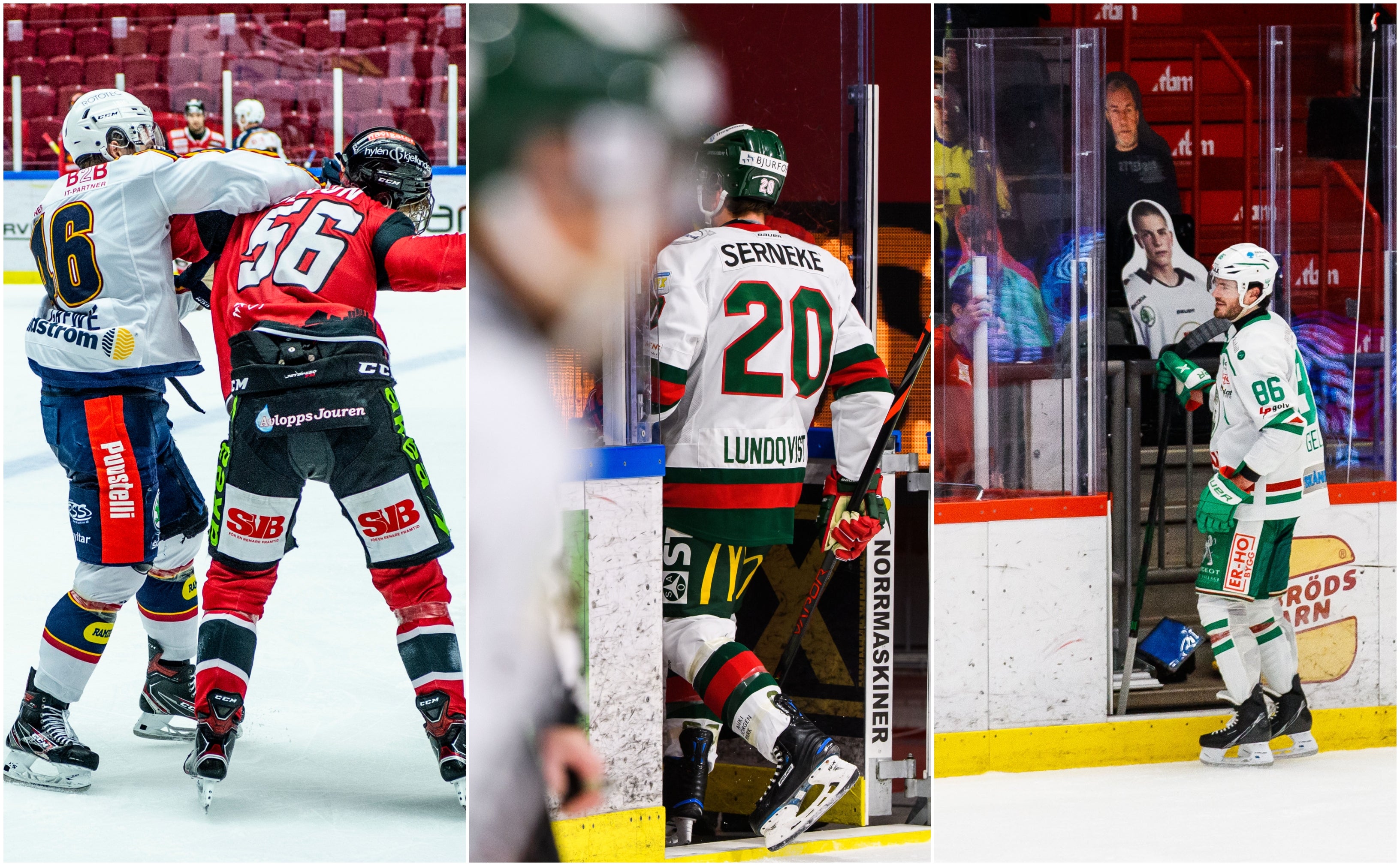 (18228) anmälningar