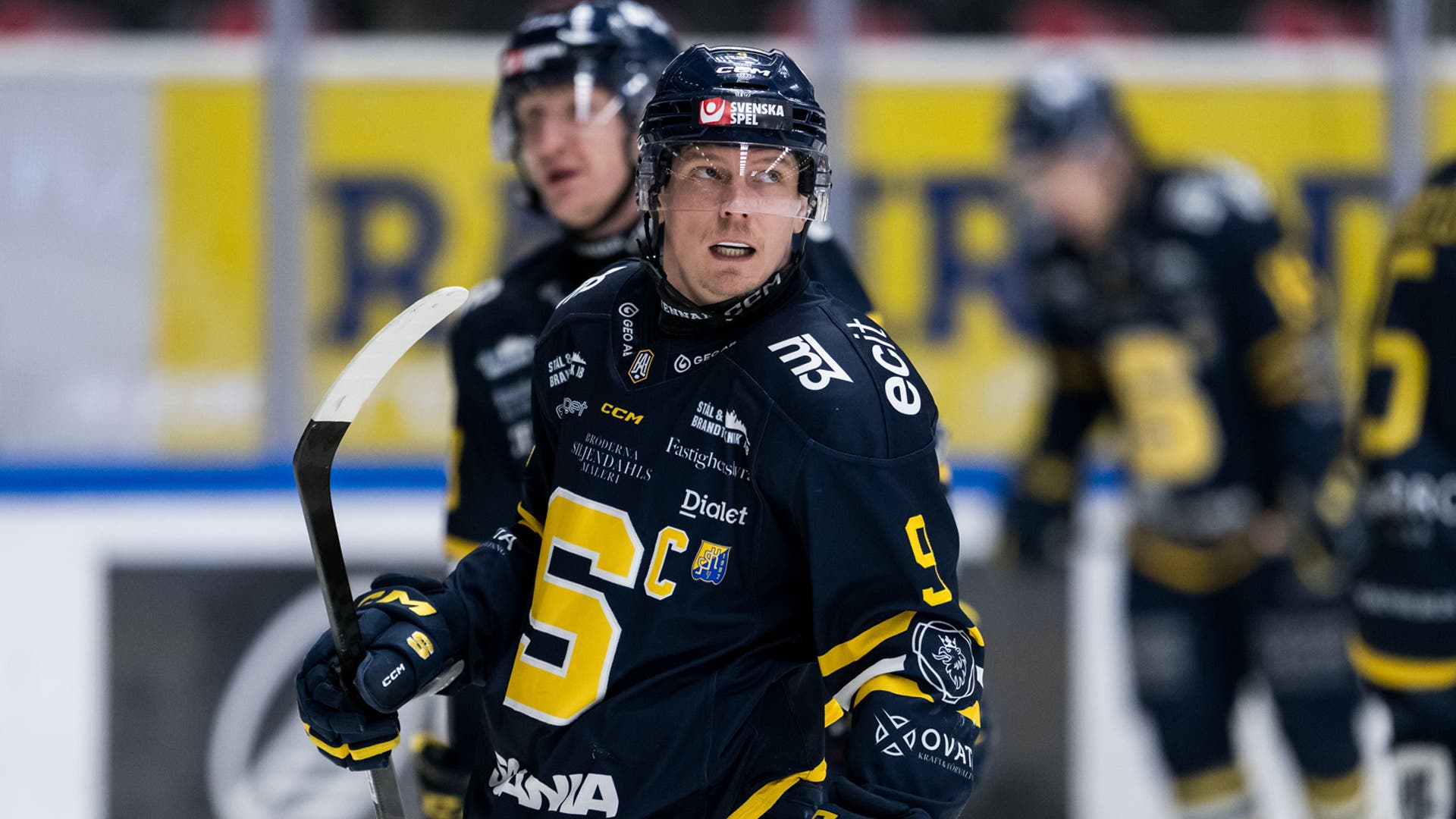 patrik zackrisson
