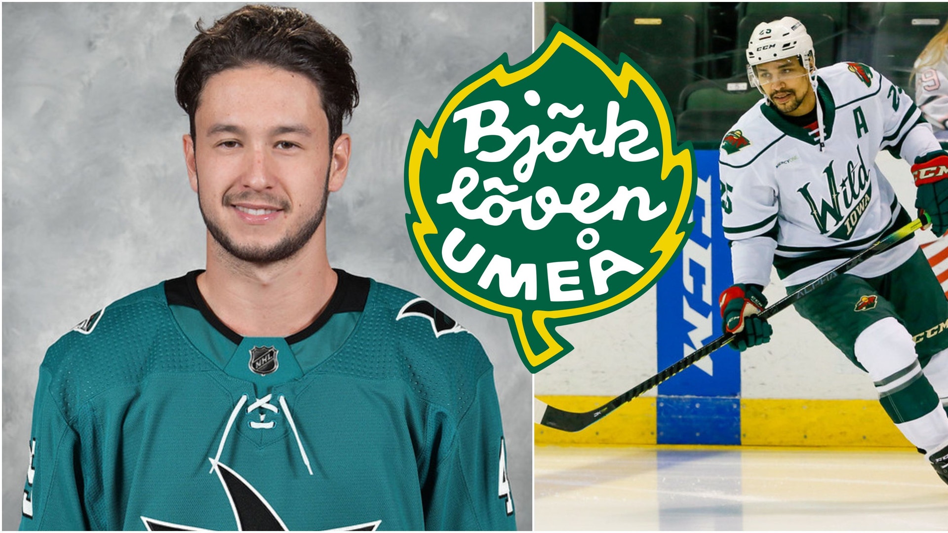 Texas Stars/San Jose Barracuda