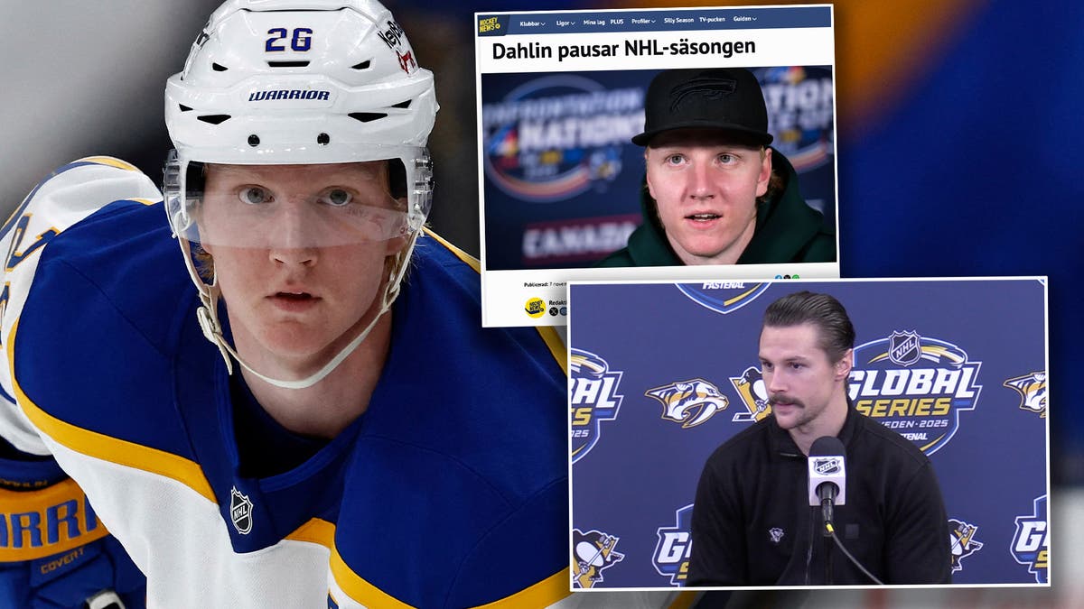 Erik Karlsson Rasmus Dahlin