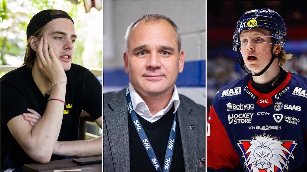 (28317) Carlsson Hemlin Bystedt