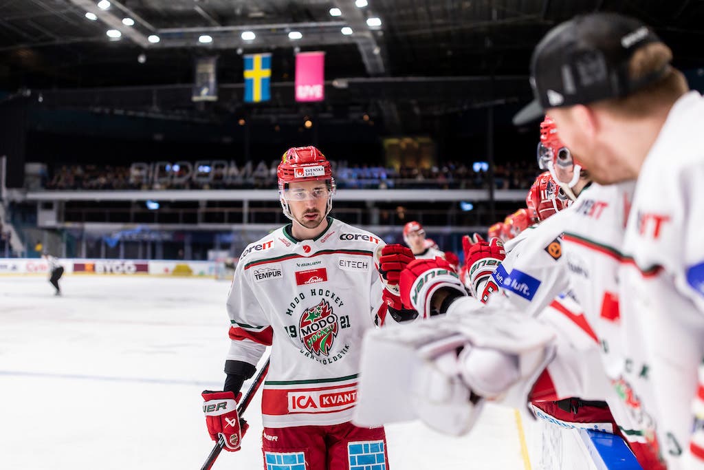 (27272) David Bernhardt Modo