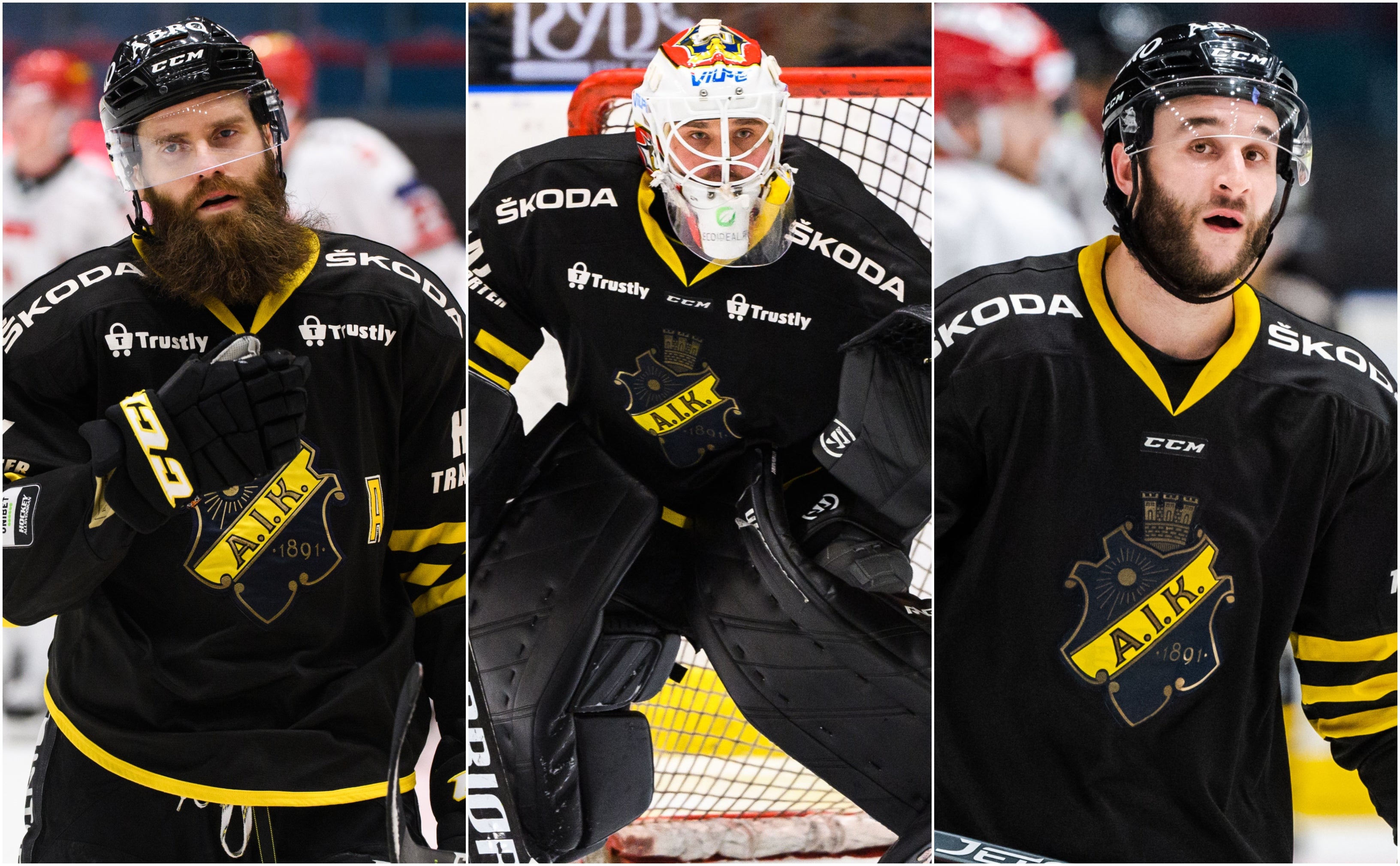 (13462) kollage måndag