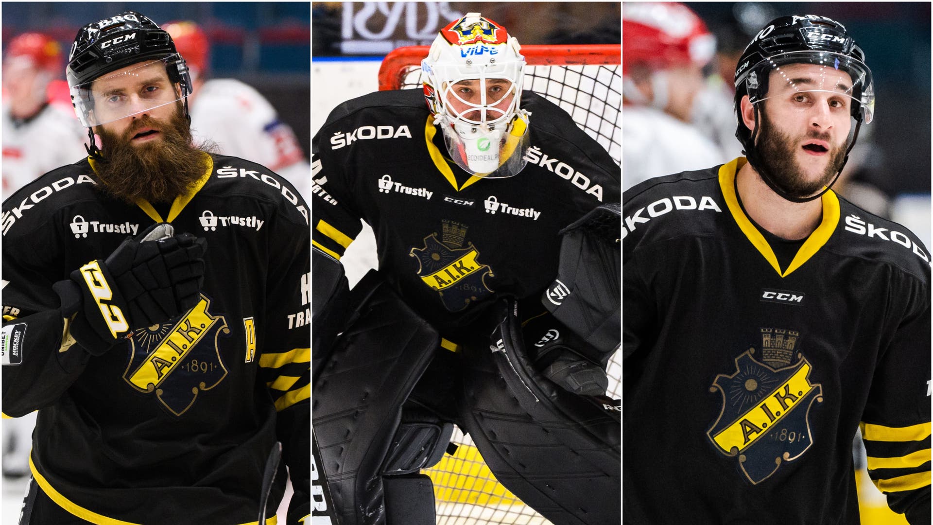 (13462) kollage måndag