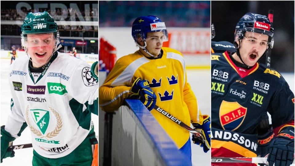 (5398) Zetterlund Brännström Bemström