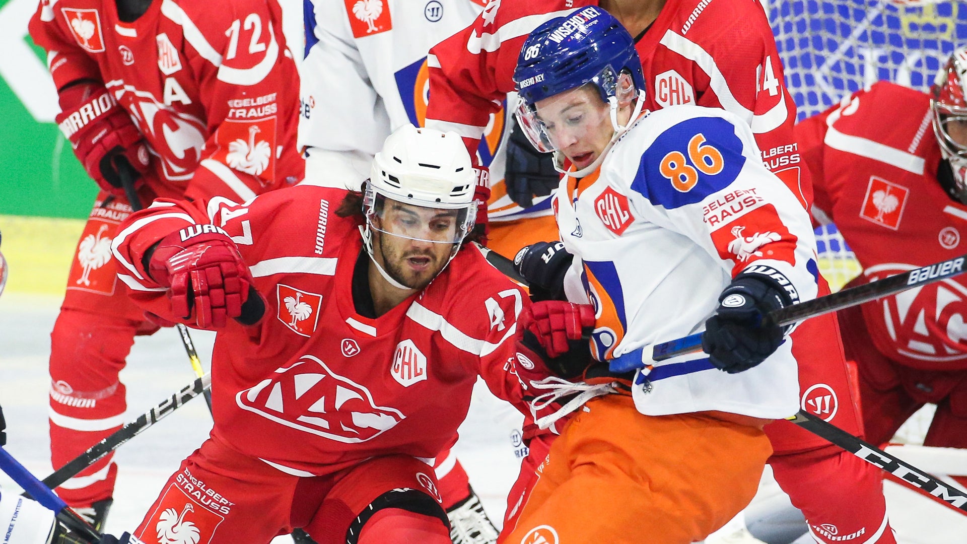 (13836) Tyler Morley