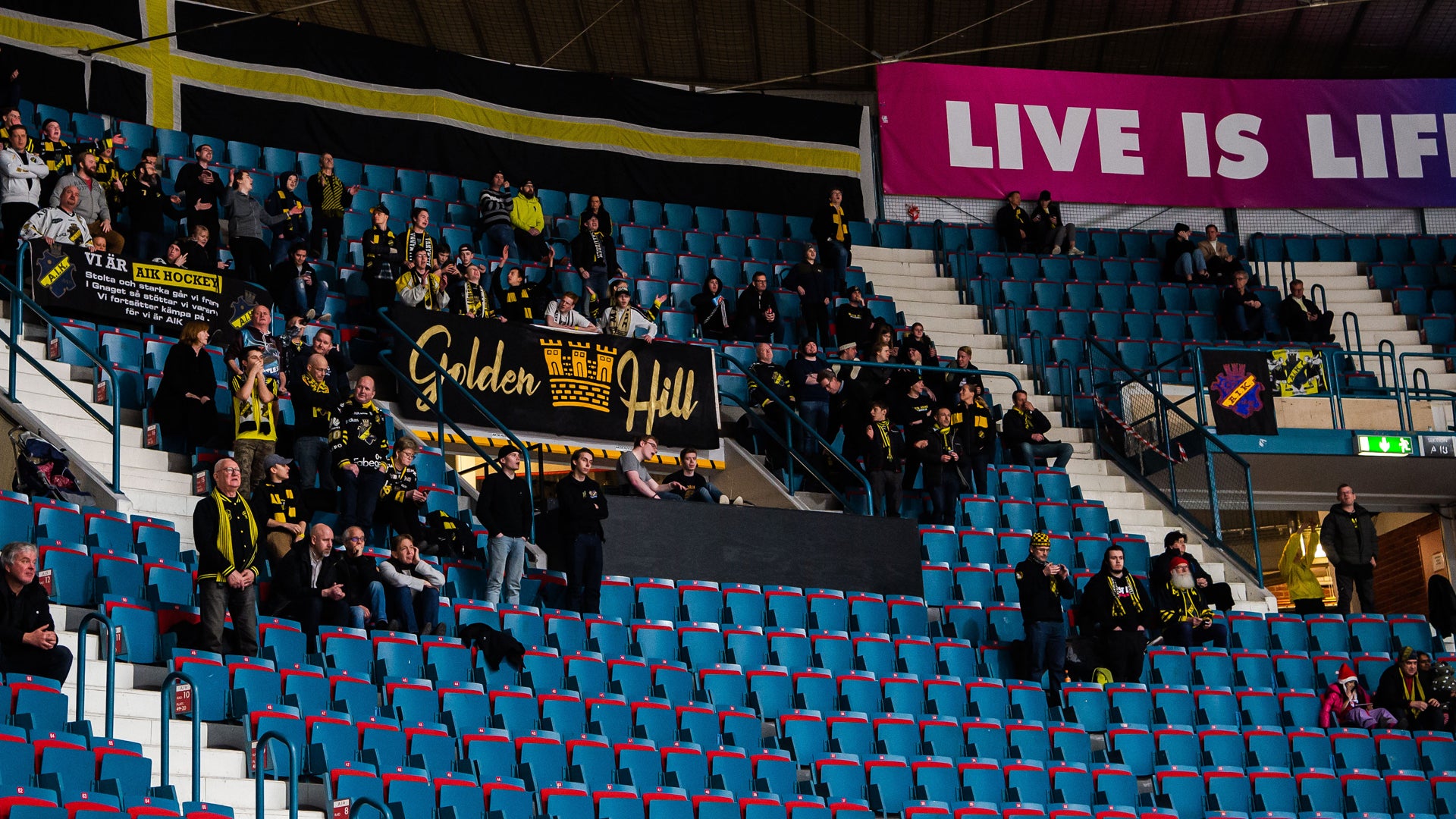 (12061) Hovet
