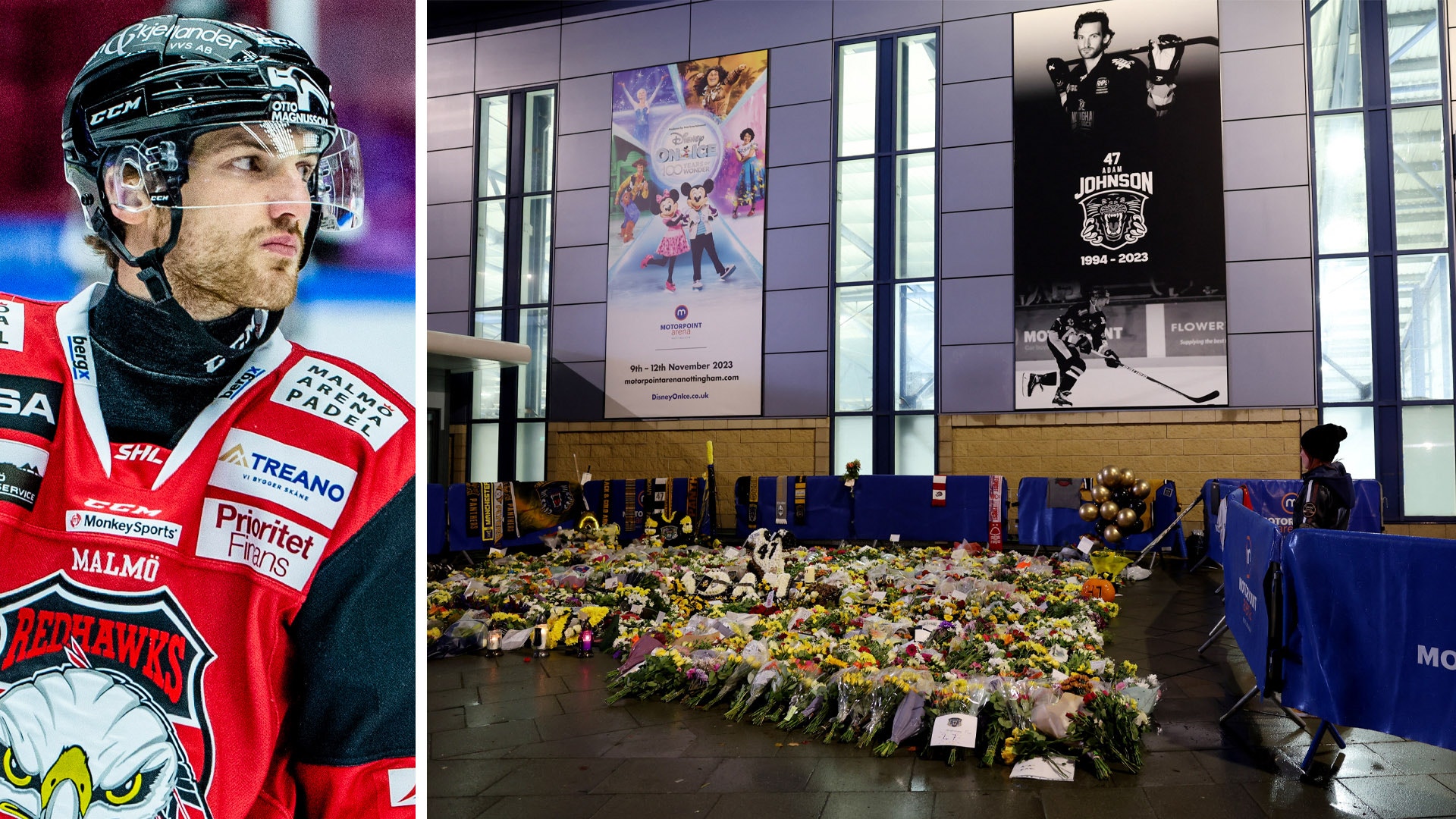 (29943) Adam Johnson