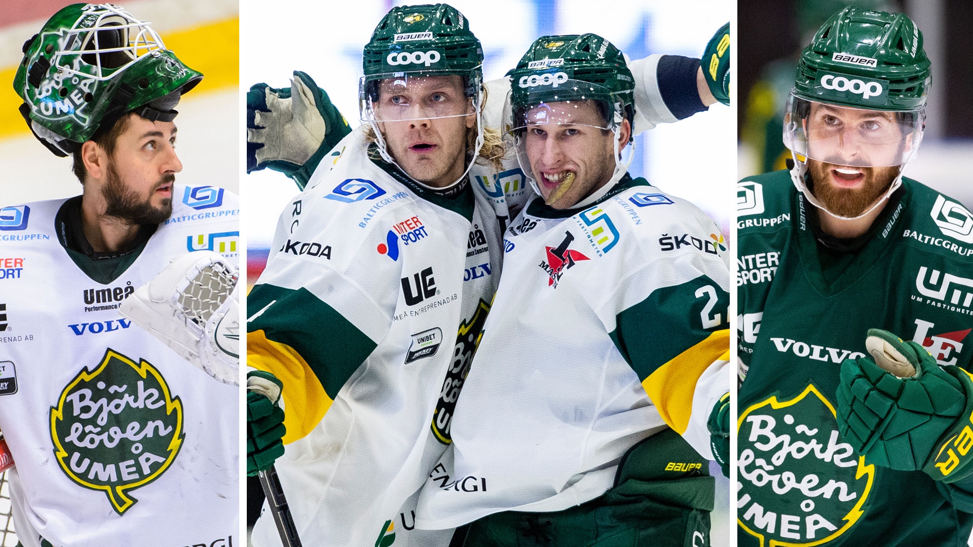 (13294) Björklöven-genomgång