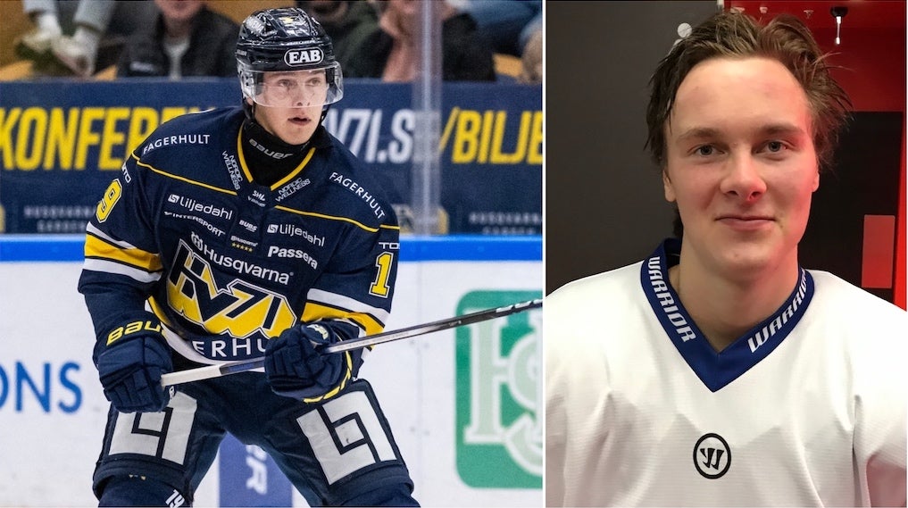 (29870) Henrik Borgström
