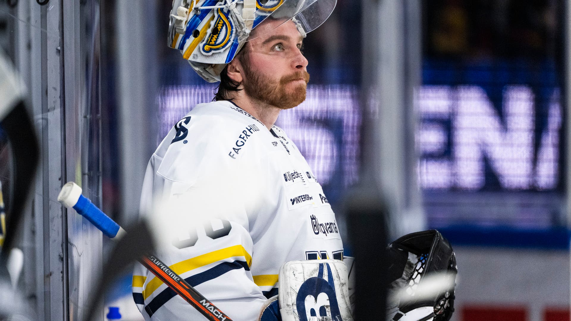 Felix Sandström