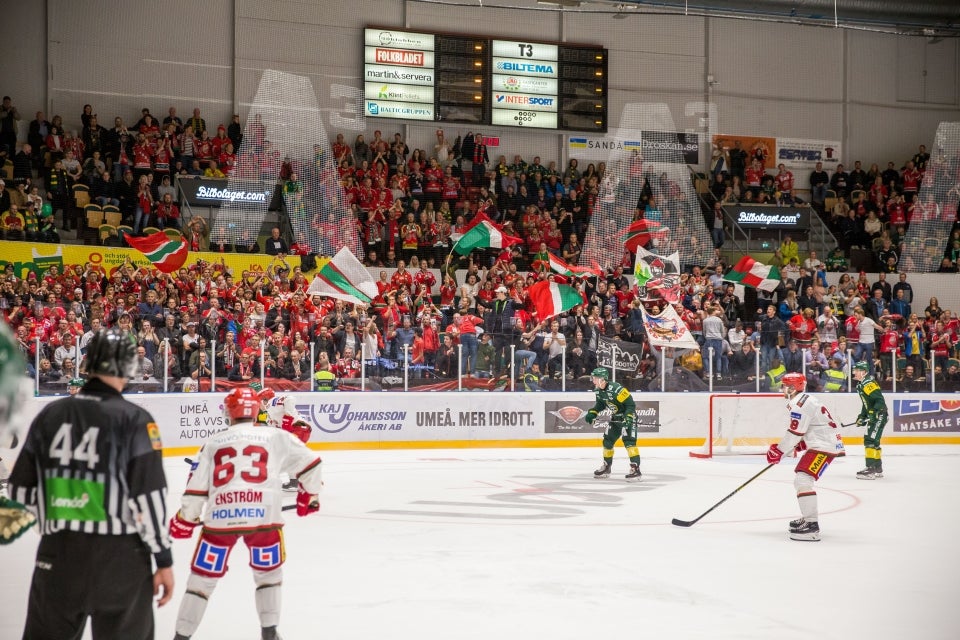 (5312) björklöven modo