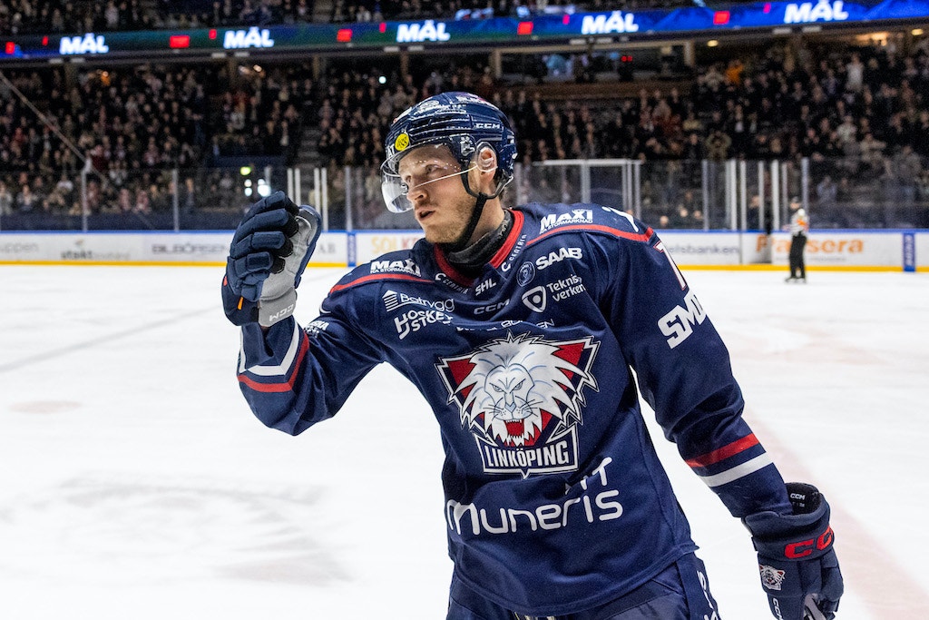 Henrik Törnqvist