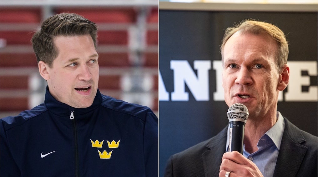 (28185) Hallam Lidström