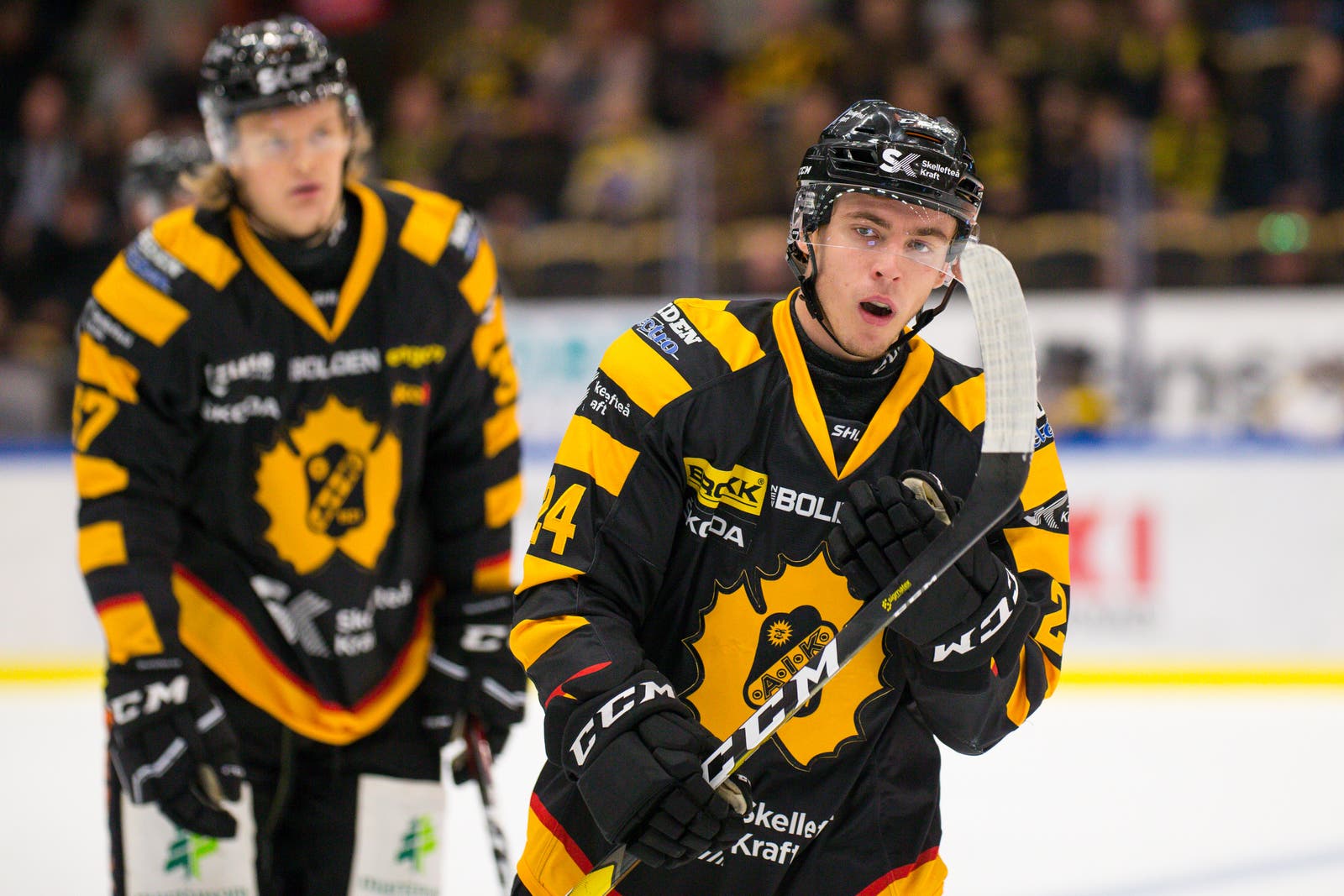 (4241) Andreas Wingerli