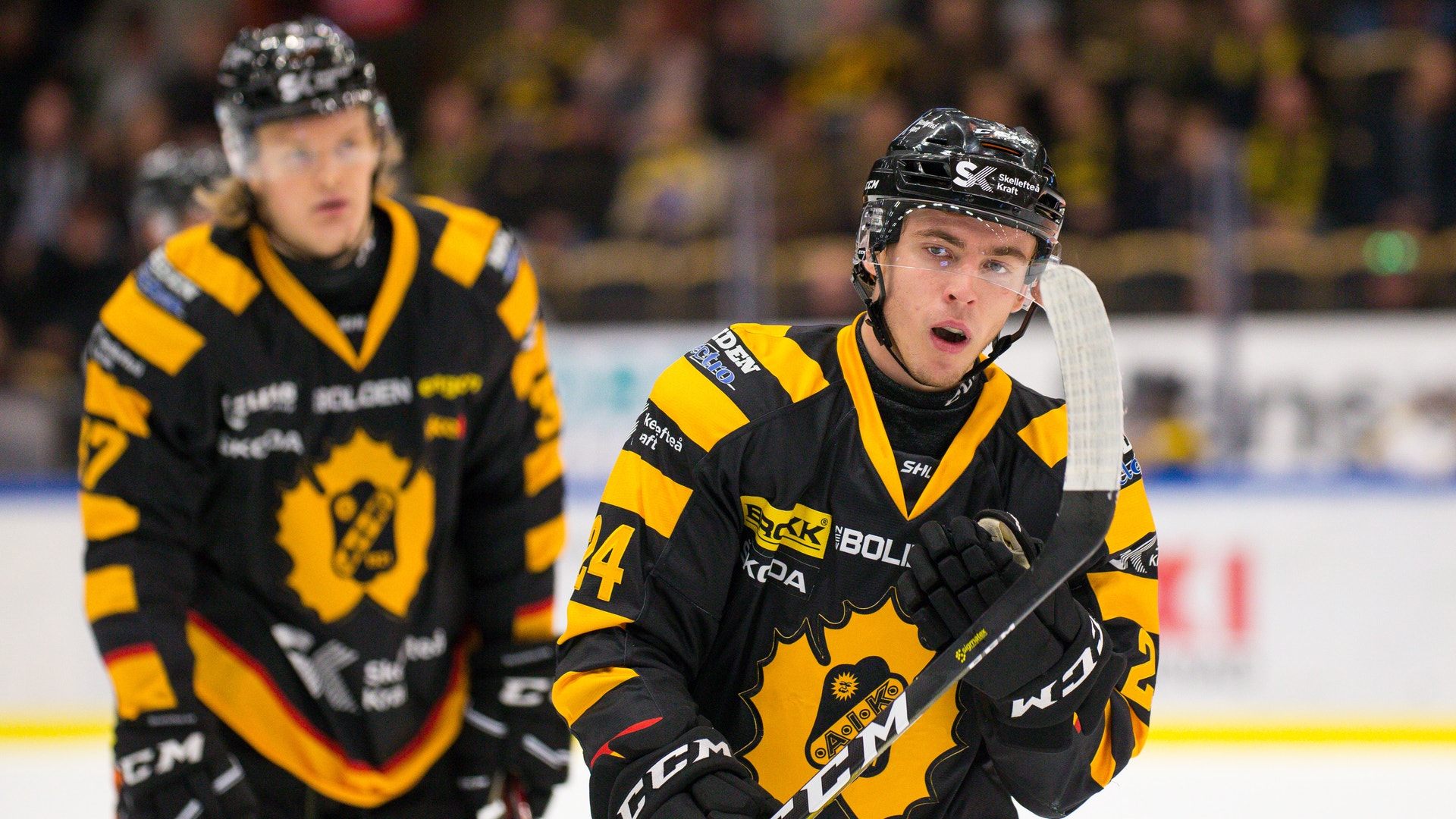 (4241) Andreas Wingerli