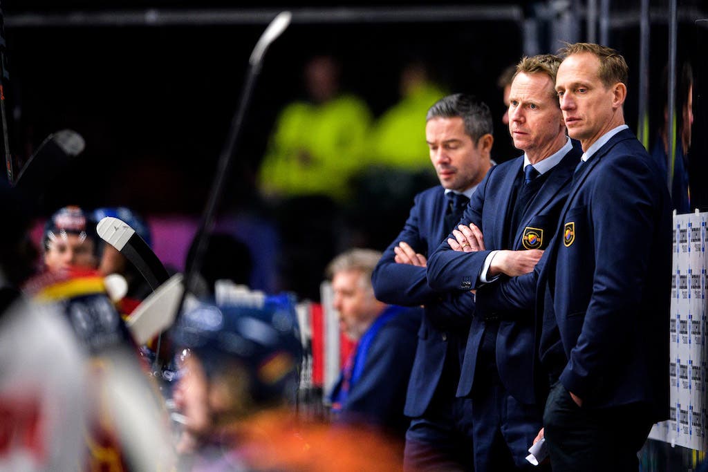 (17371) Mikael Håkanson/Djurgården