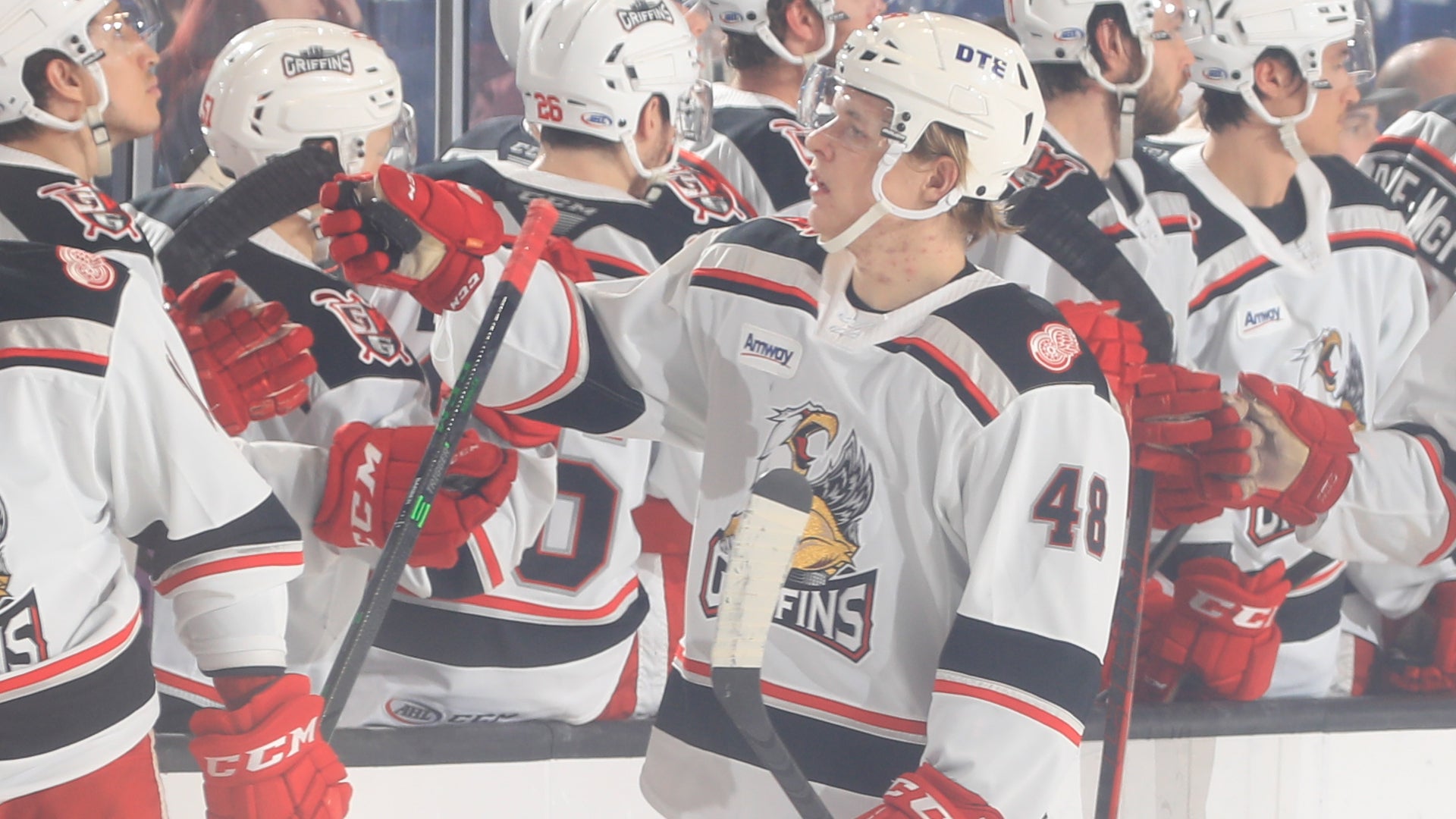 Ross Dietmann/Chicago Wolves