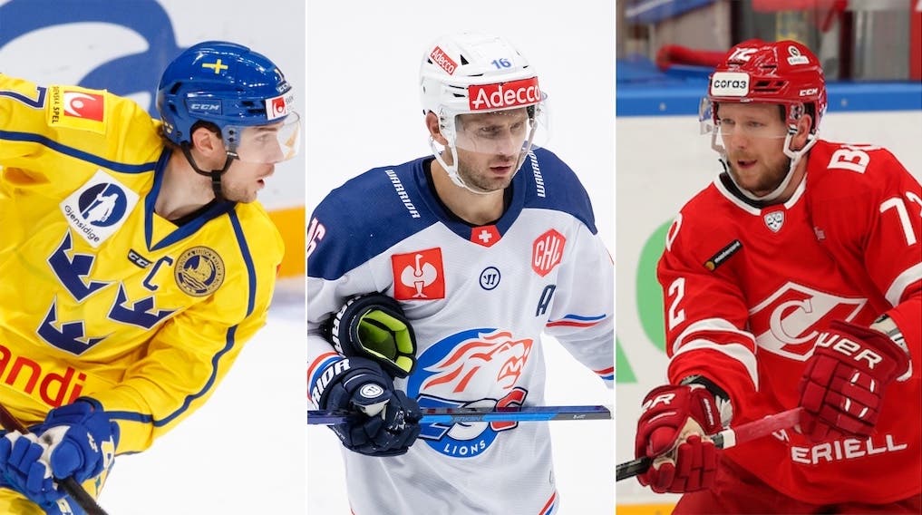 (21704) Tömmernes Krüger Heed