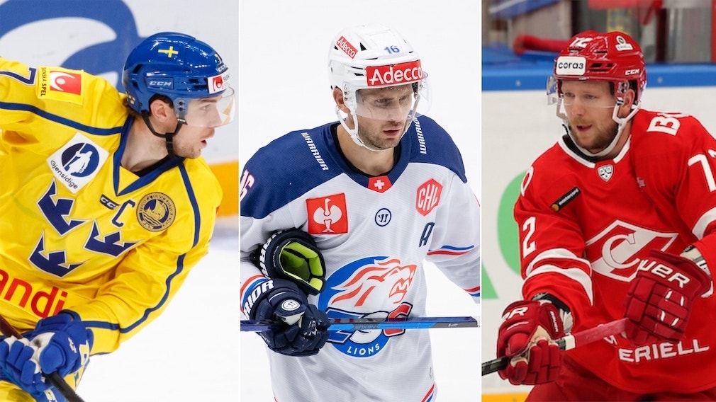 (21704) Tömmernes Krüger Heed