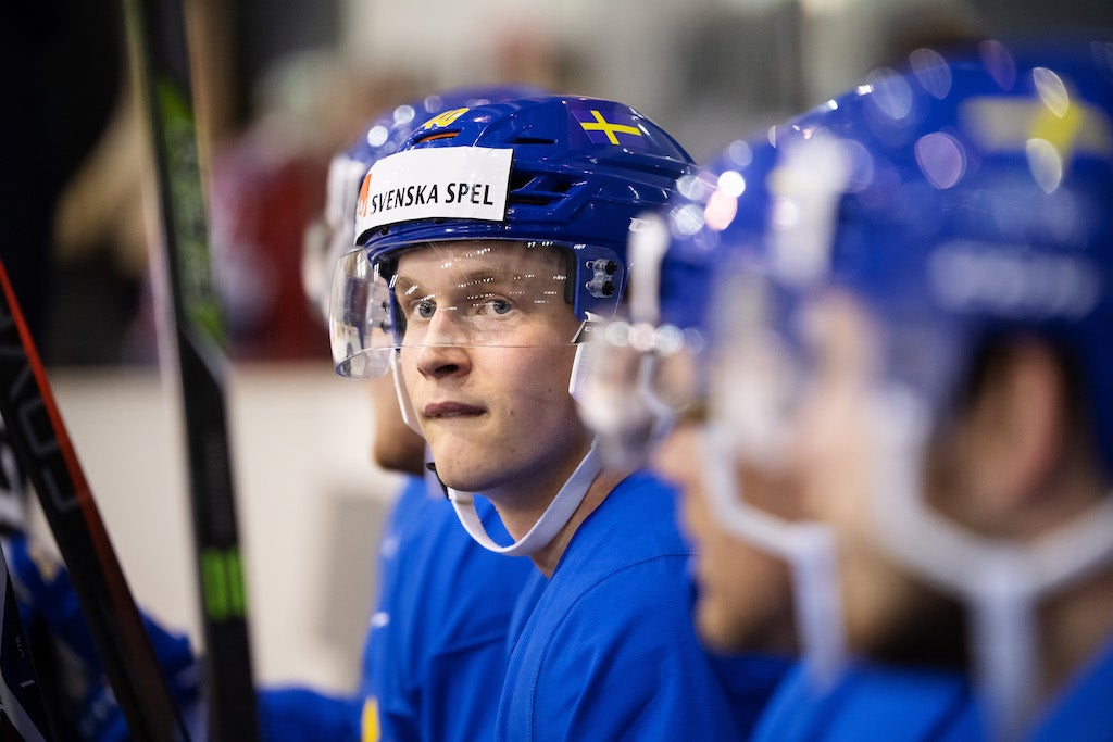 (8462) Elias Pettersson-redigerad2