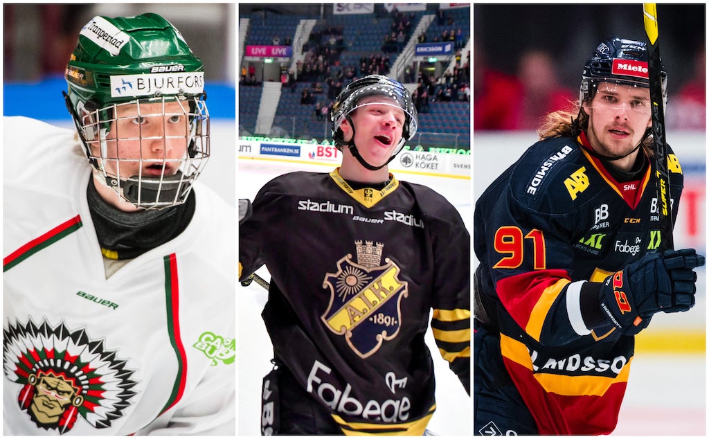 (9031) Dahlin/Bratt/Fjällby