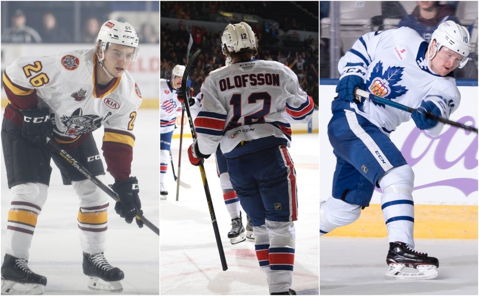 Dale Woltman/Chicago Wolves & Micheline Veluvolu/Rochester Americans & Christian Bonin/Toronto Marlies