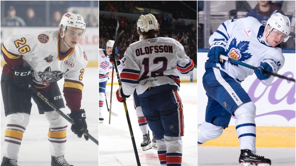 Dale Woltman/Chicago Wolves & Micheline Veluvolu/Rochester Americans & Christian Bonin/Toronto Marlies
