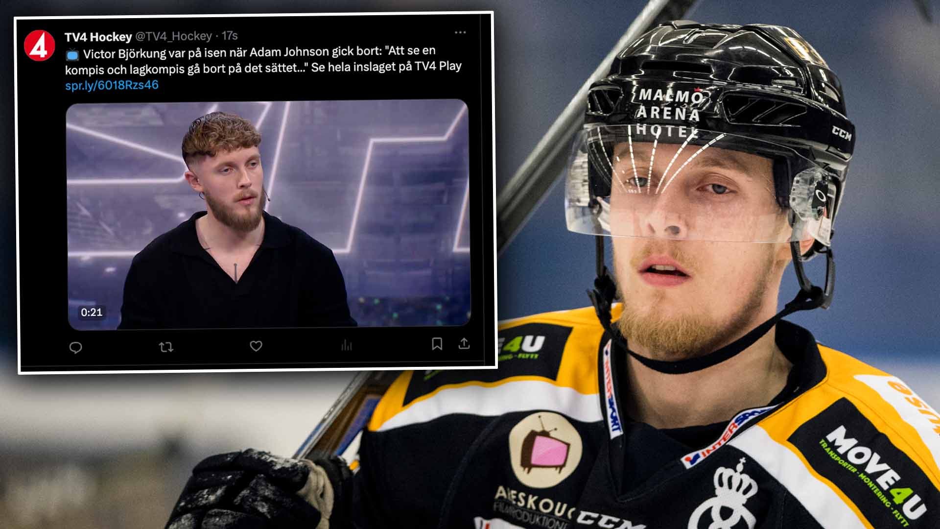 (30527) Björkung