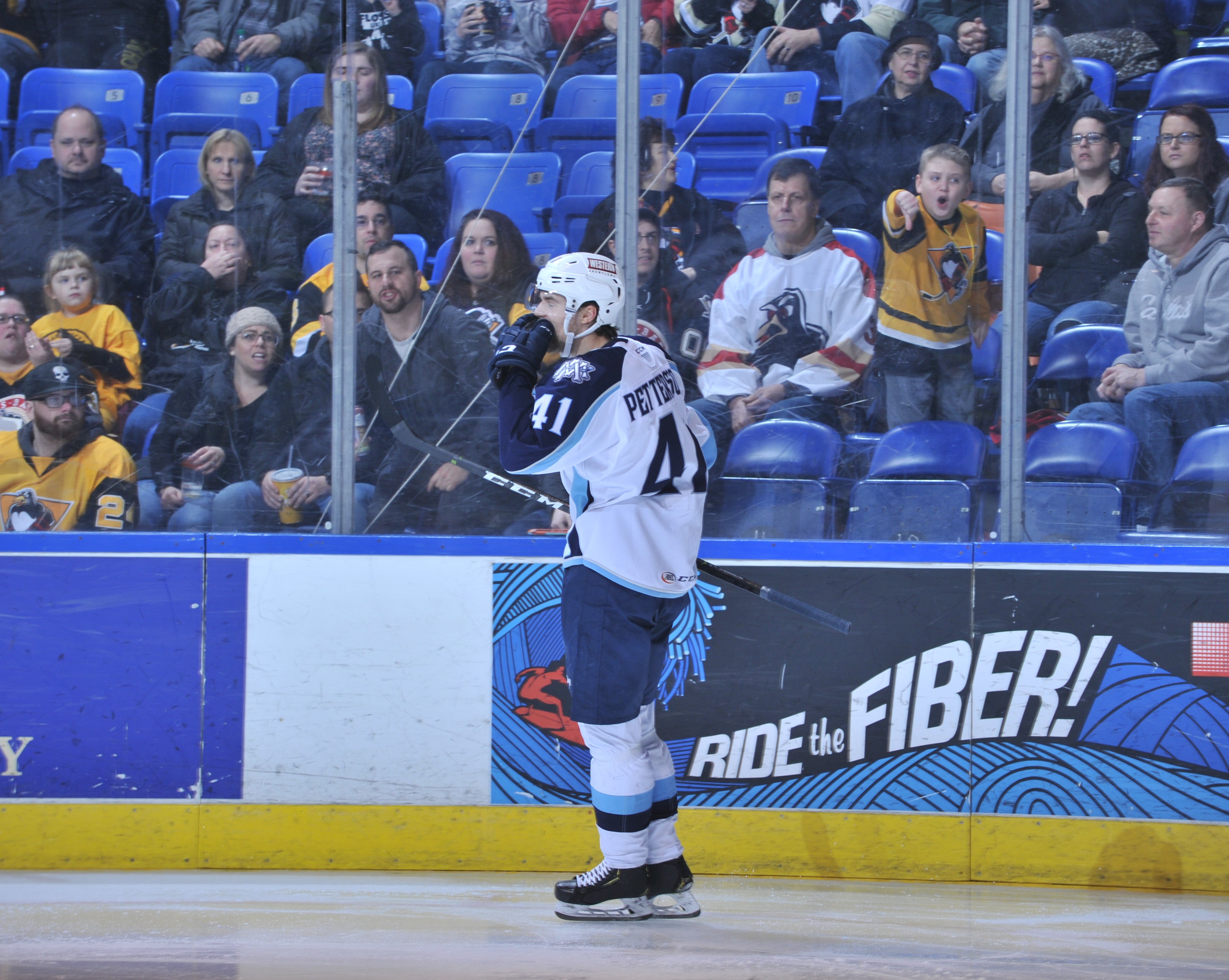 Wilkes/Barre-Scranton Penguins