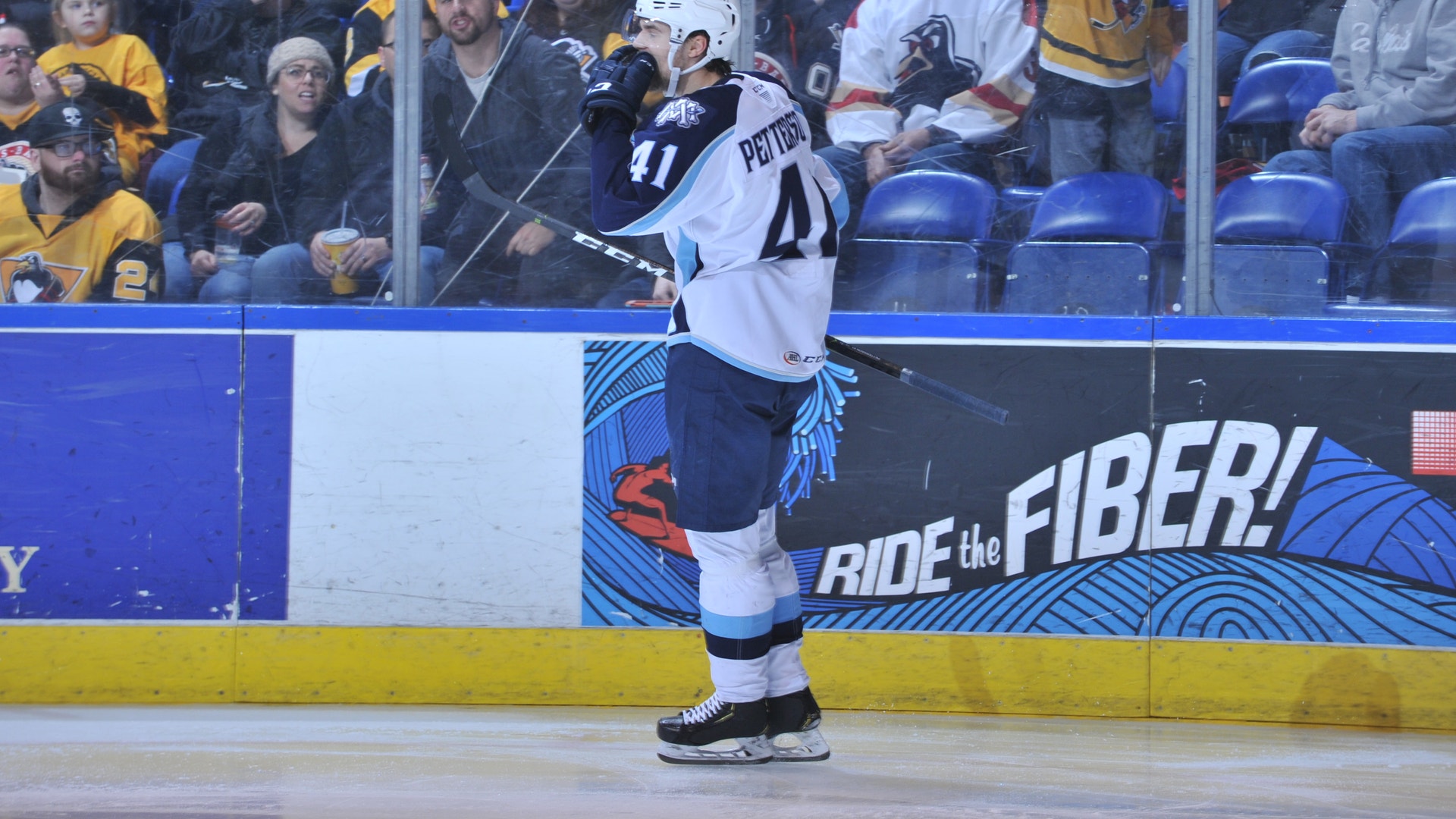 Wilkes/Barre-Scranton Penguins