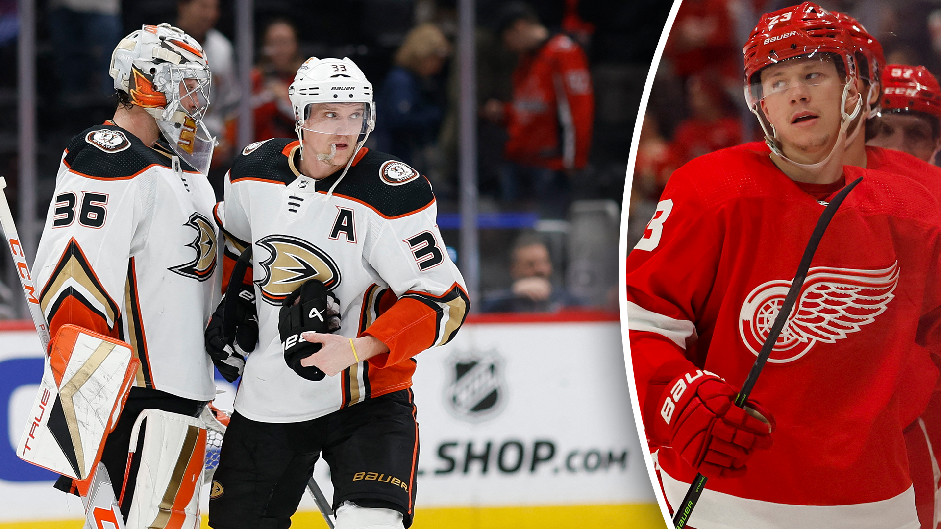 (27725) Raymond montage