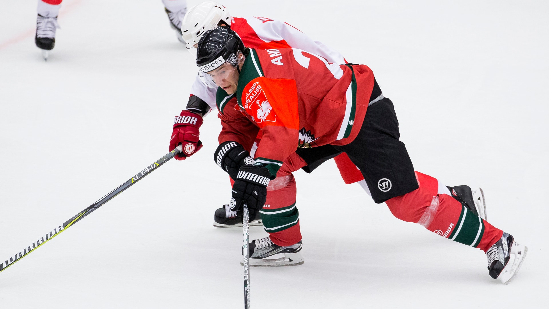 Michael Erichsen/Bildbyrån