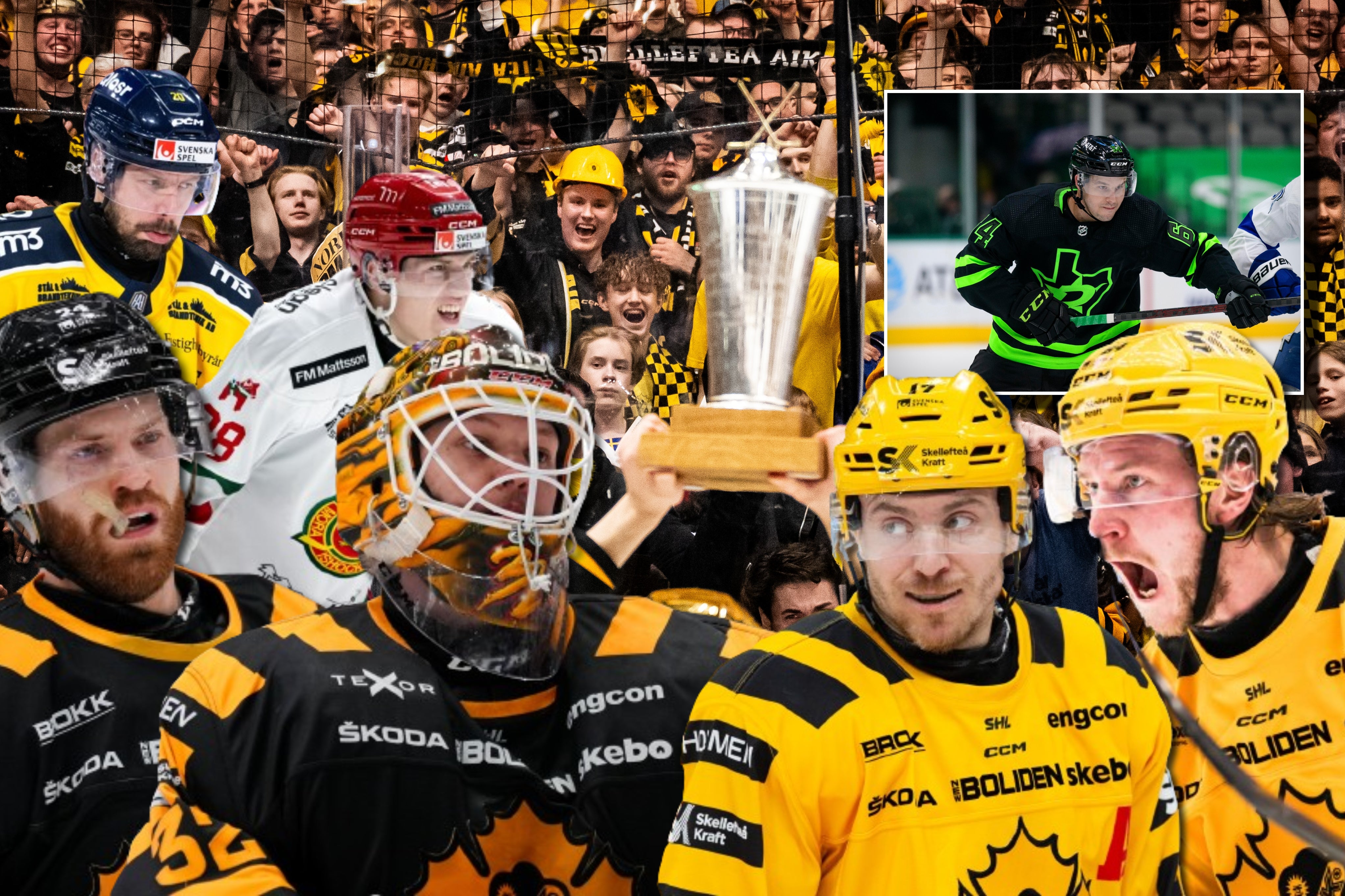 Foto: Bildbyrån/Montage
