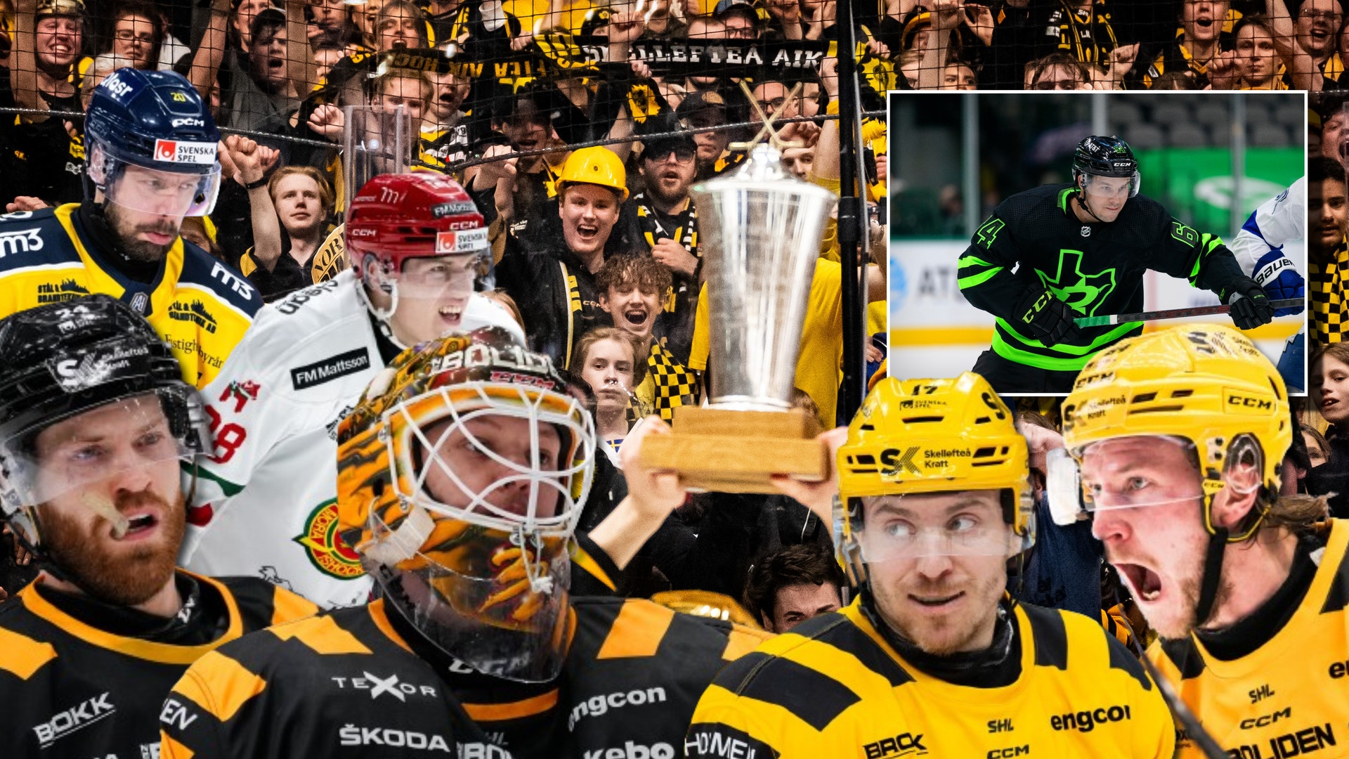 Foto: Bildbyrån/Montage