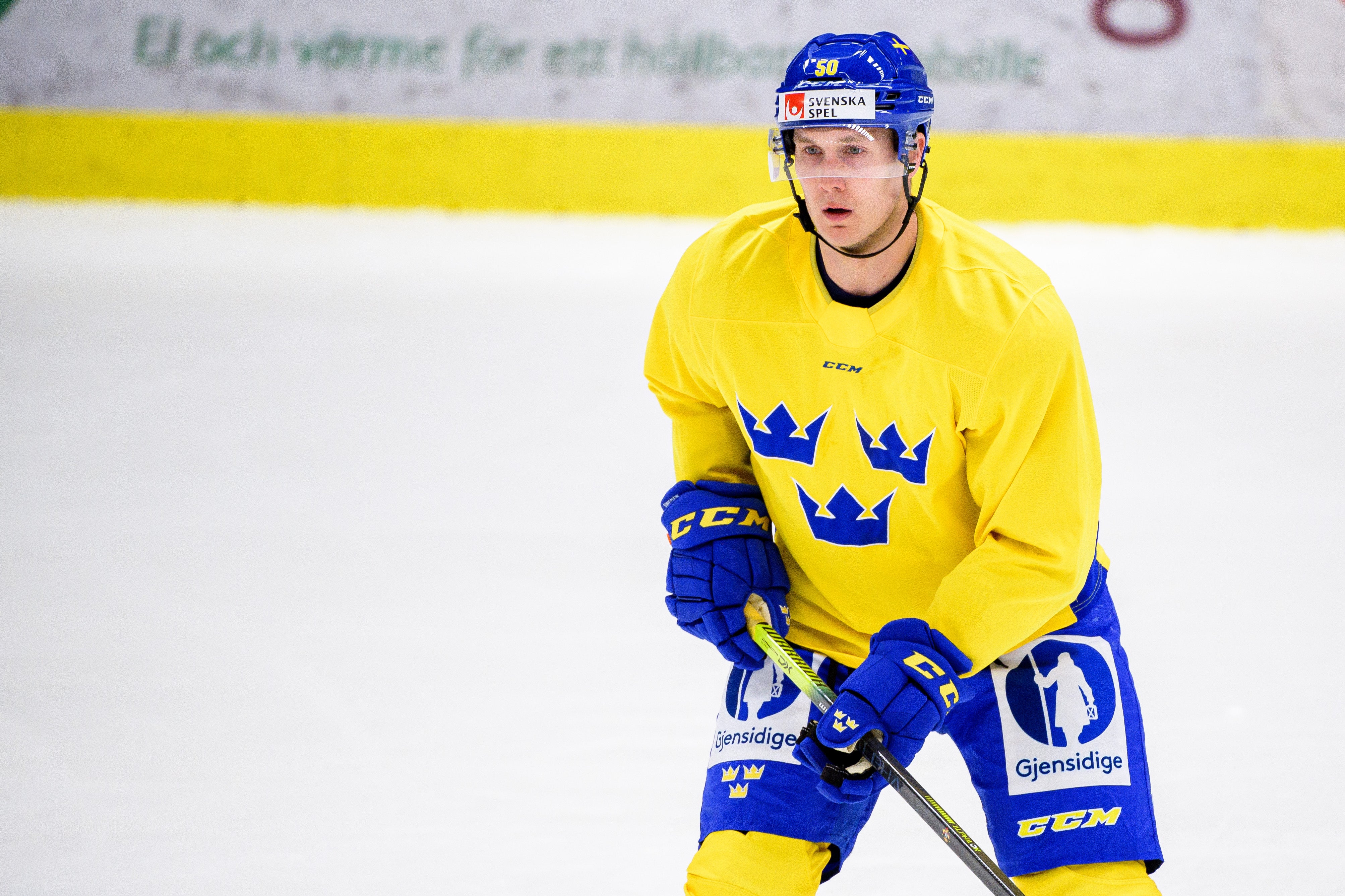 (19730) Viktor Lööv