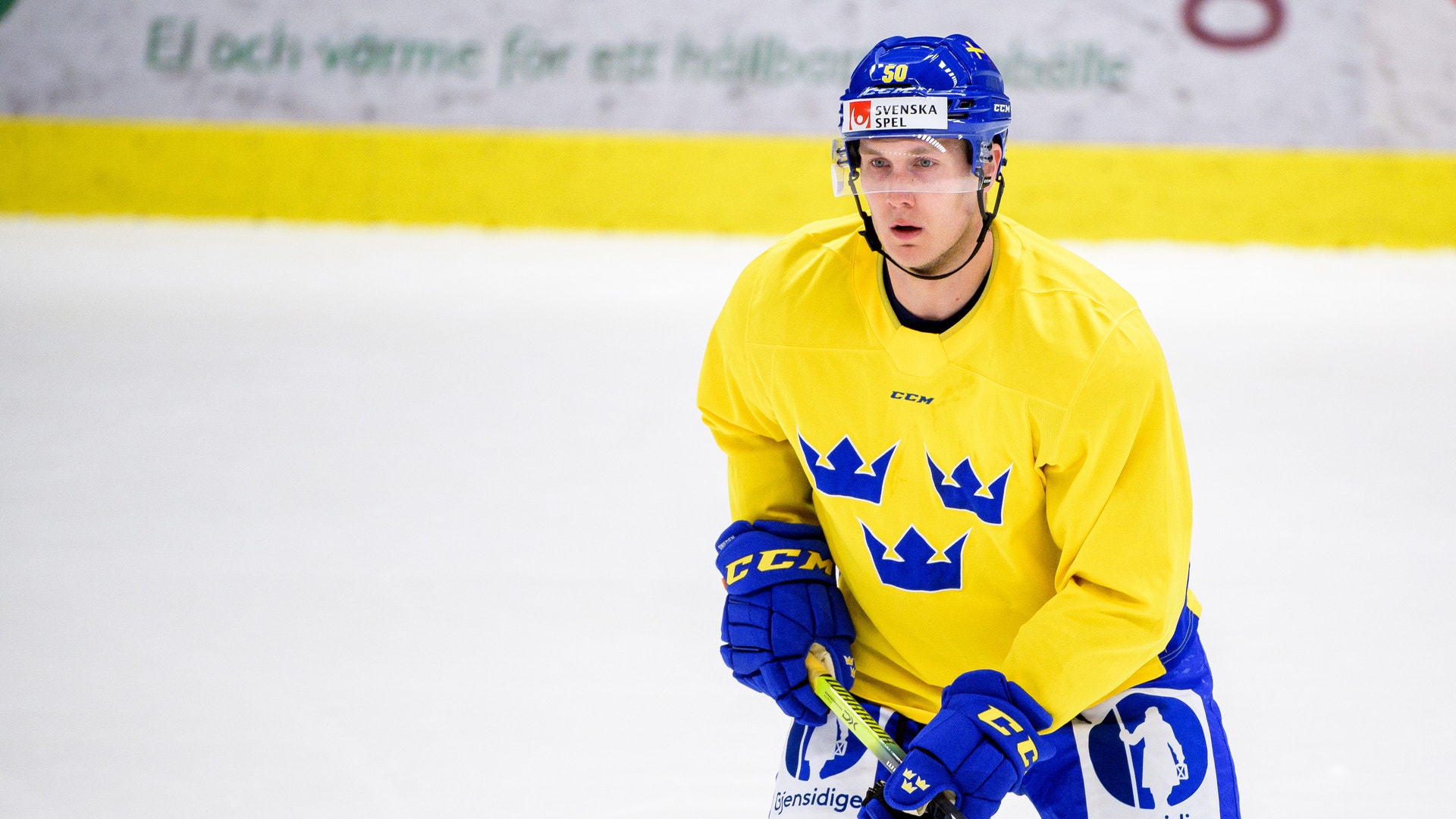 (19730) Viktor Lööv