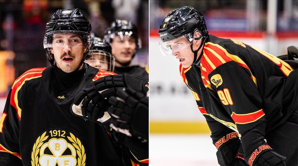 (25304) Björninen Skelnicka Brynäs