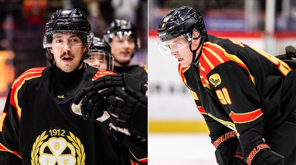 (25304) Björninen Skelnicka Brynäs