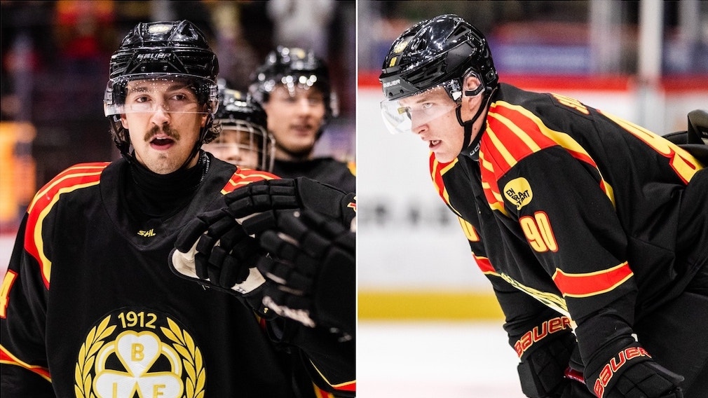 (25304) Björninen Skelnicka Brynäs