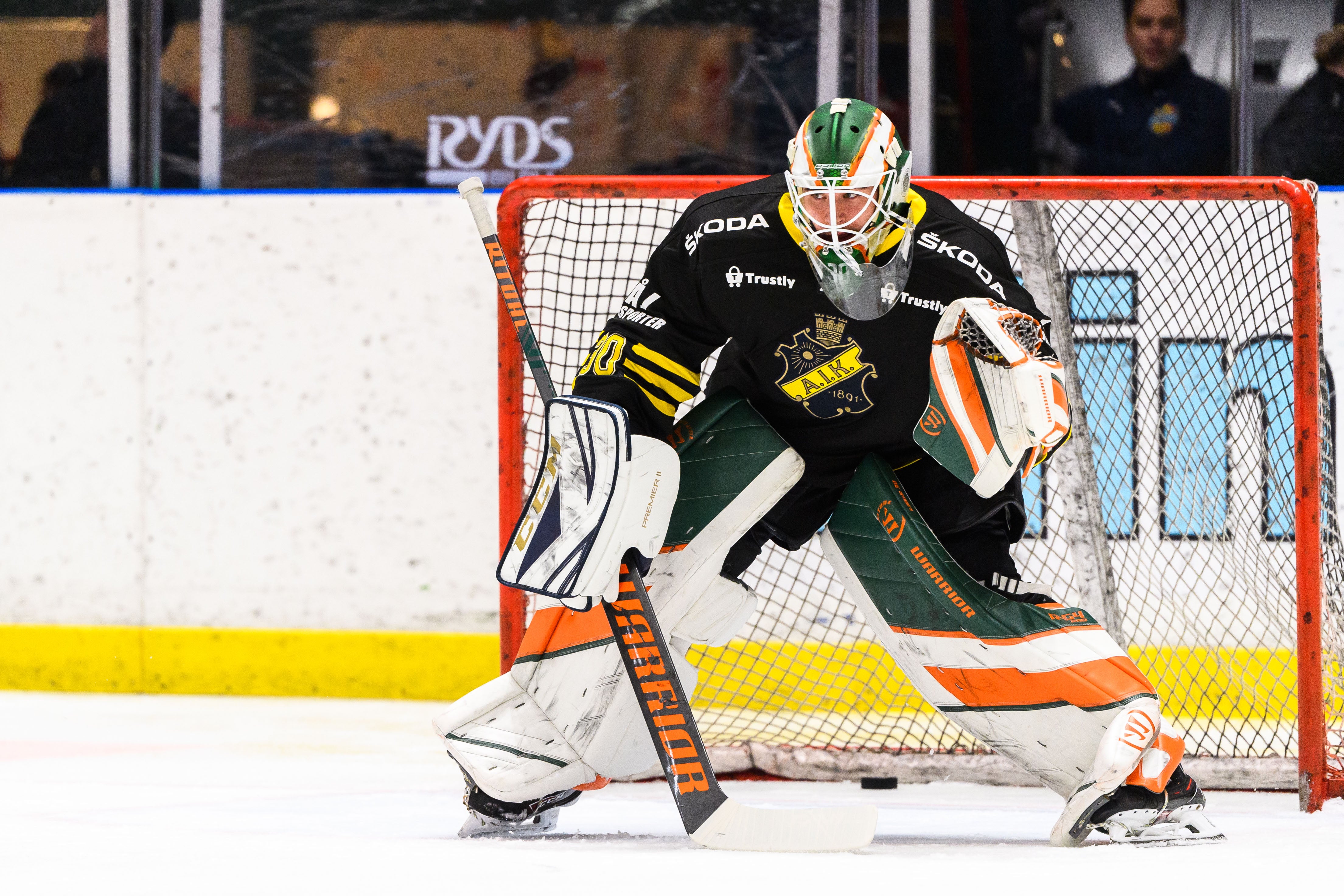 (14365) Robin Wallin