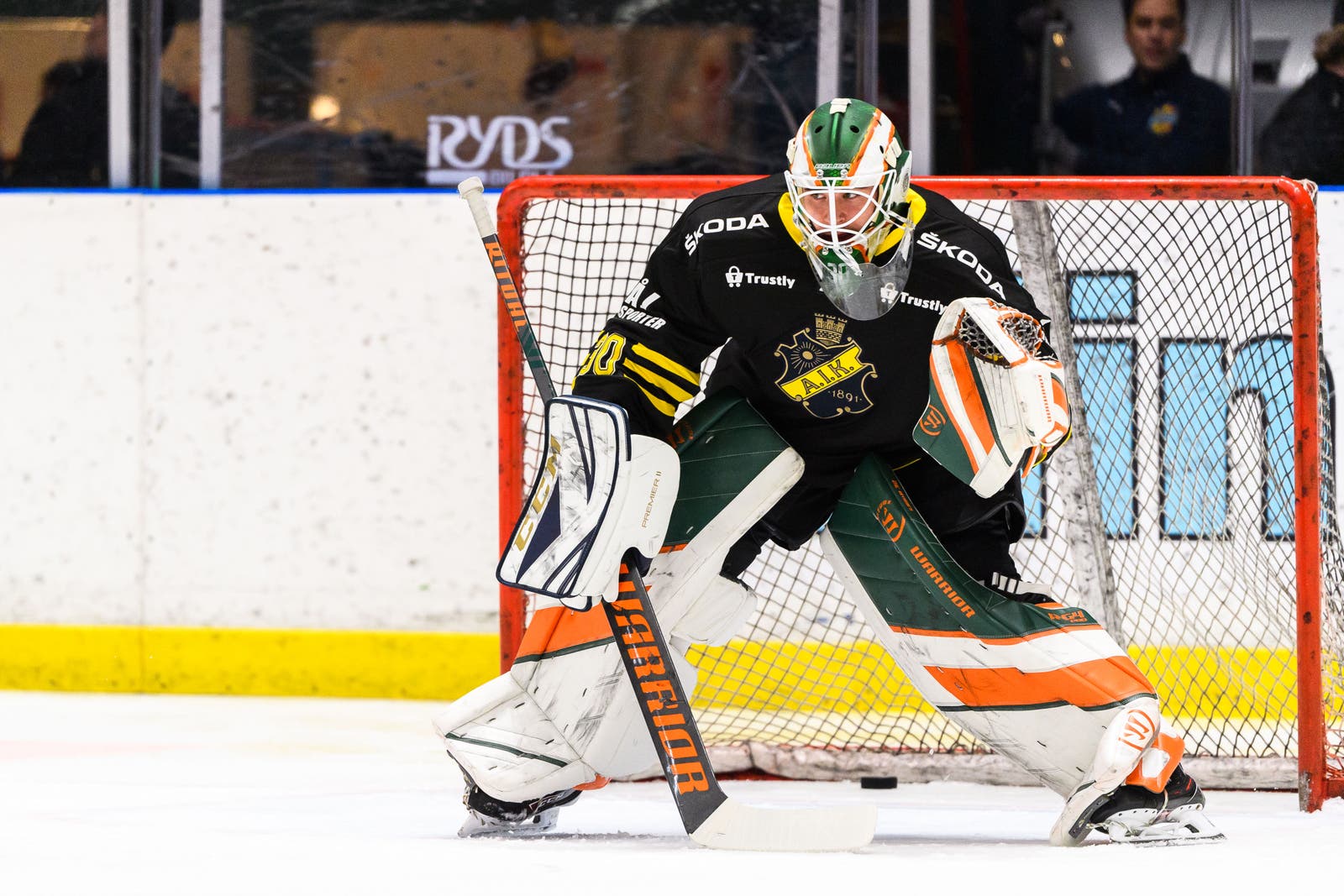 (14365) Robin Wallin