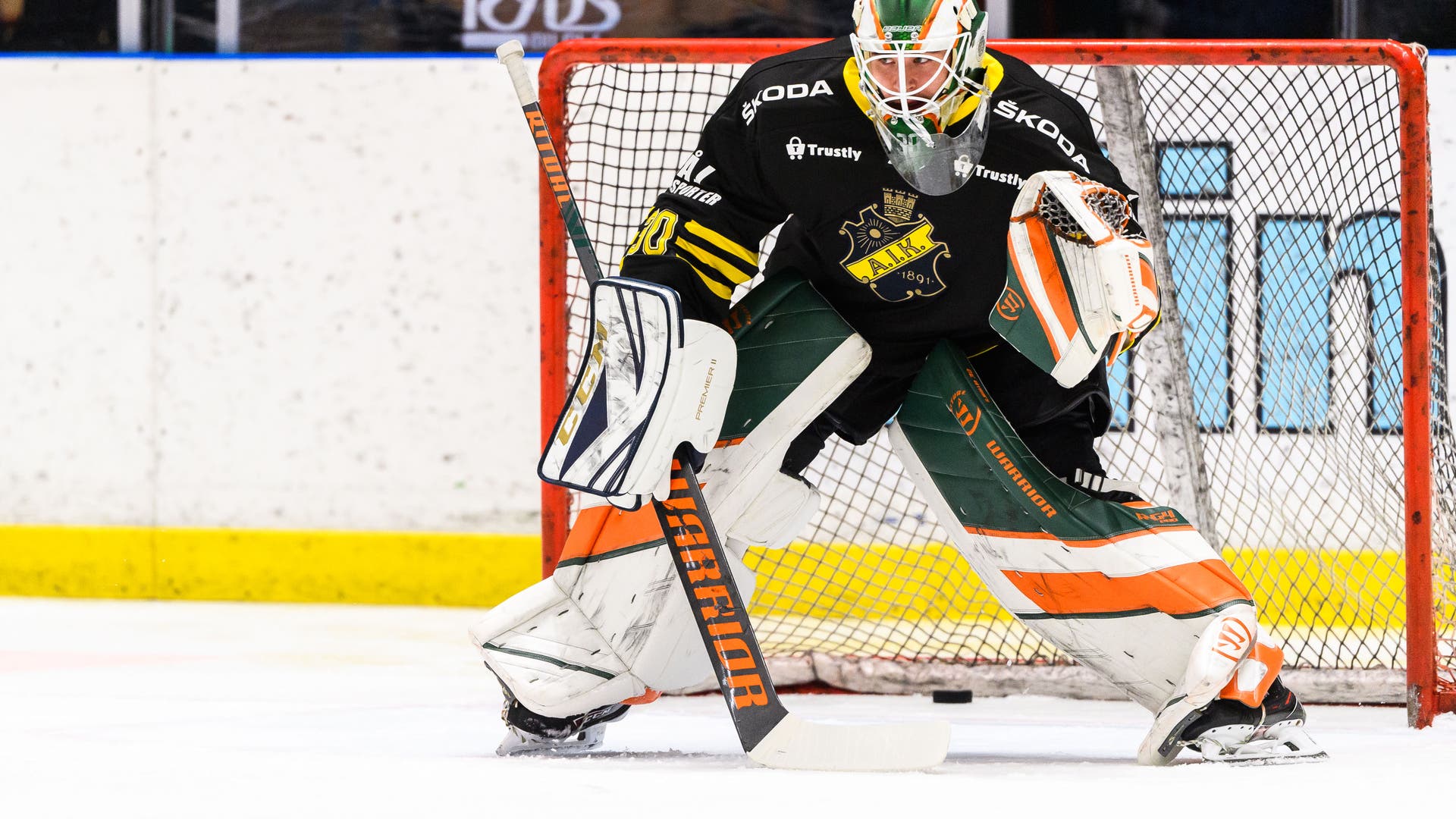 (14365) Robin Wallin