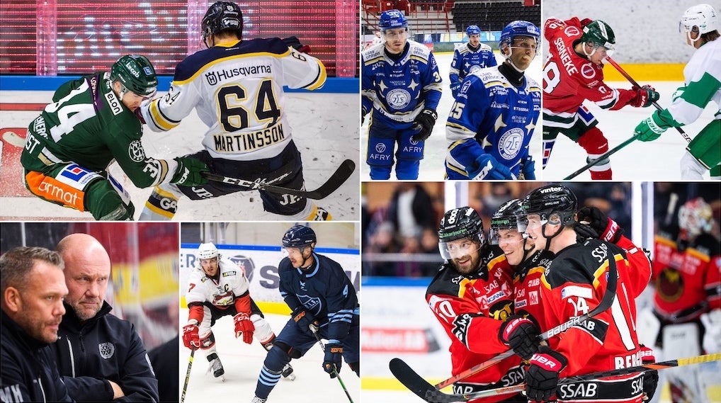 (15393) SHL-tips 2020/2021