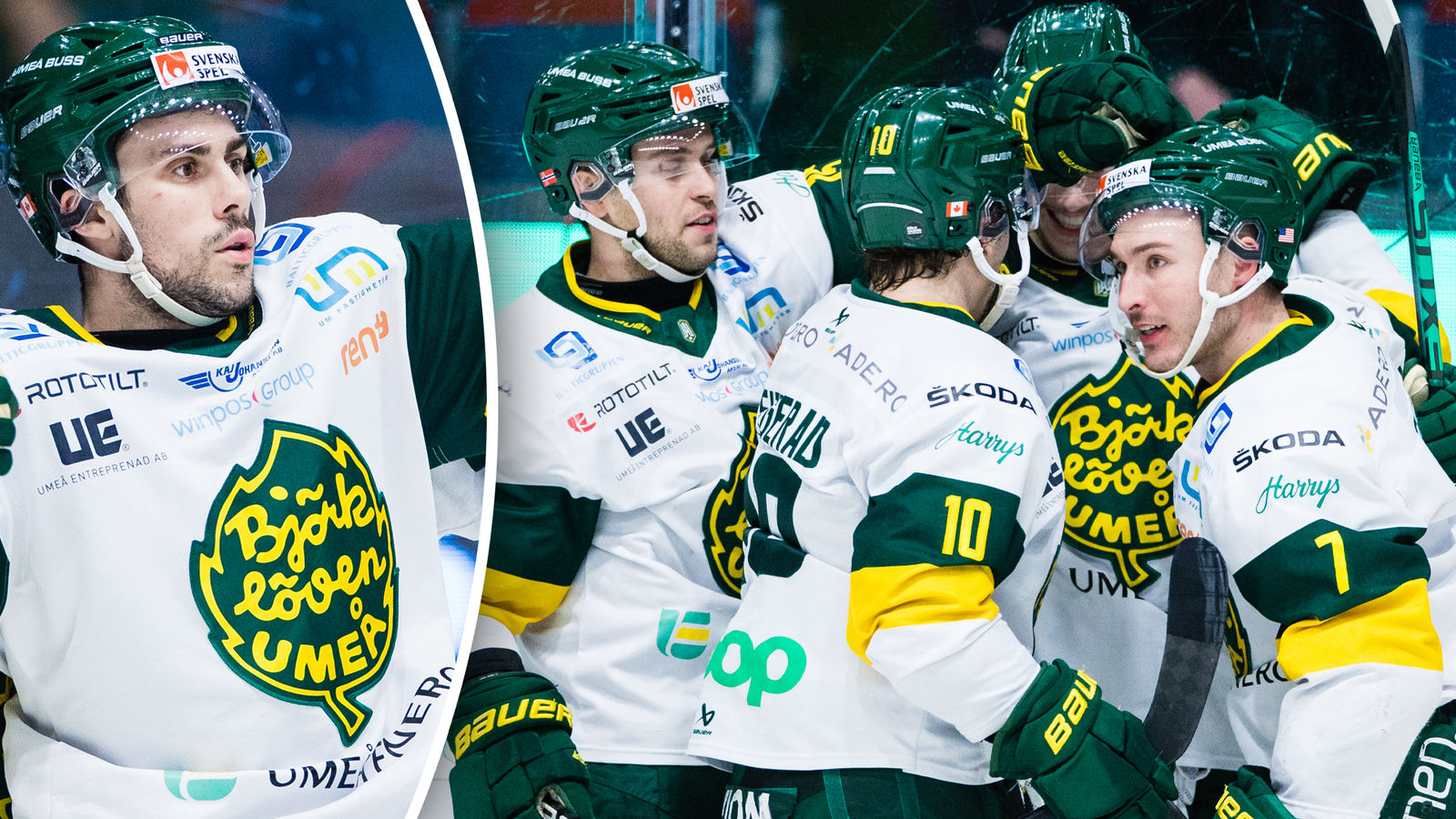 (26331) Fortier, Löven jublar