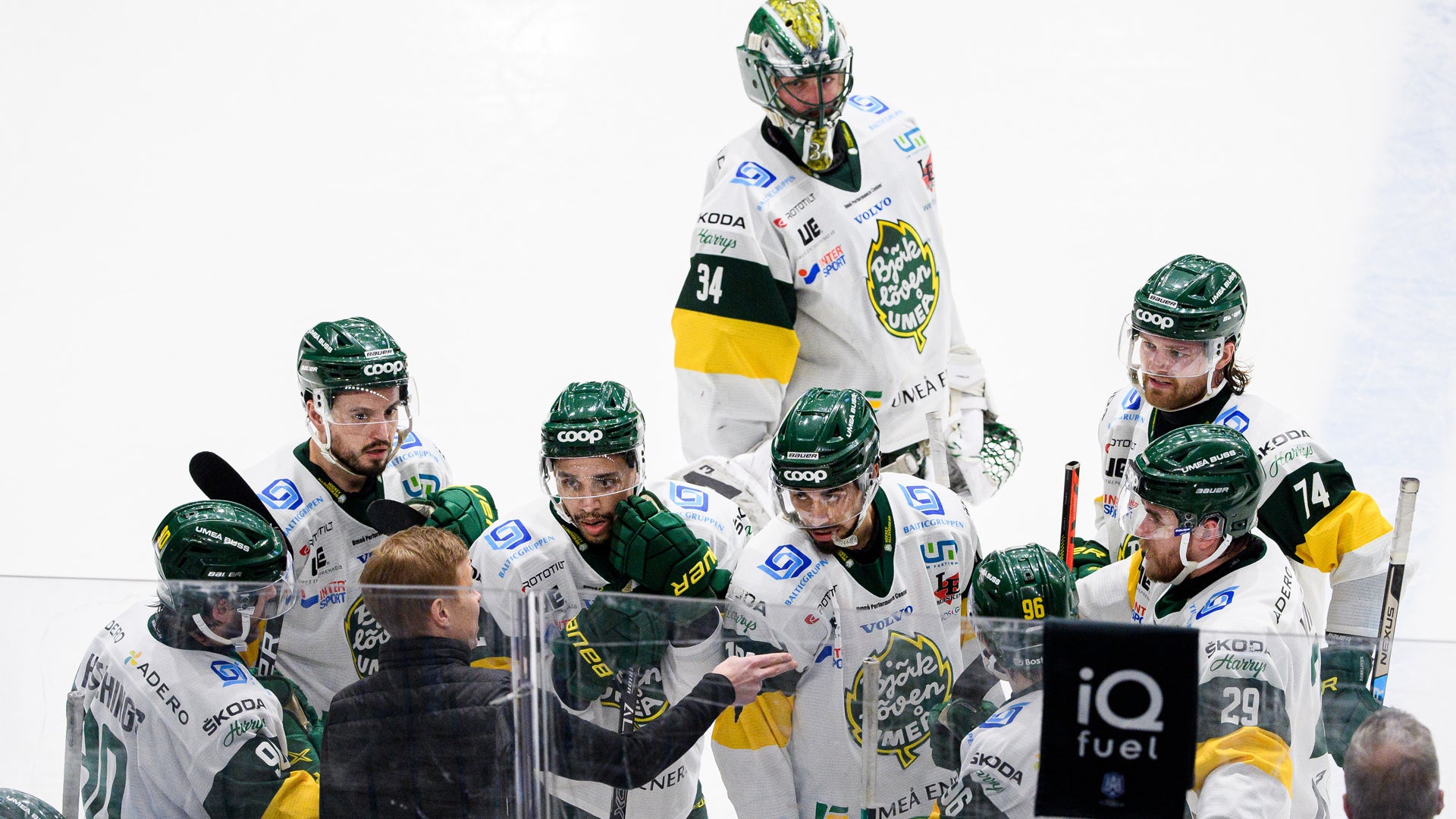 (19241) Björklöven