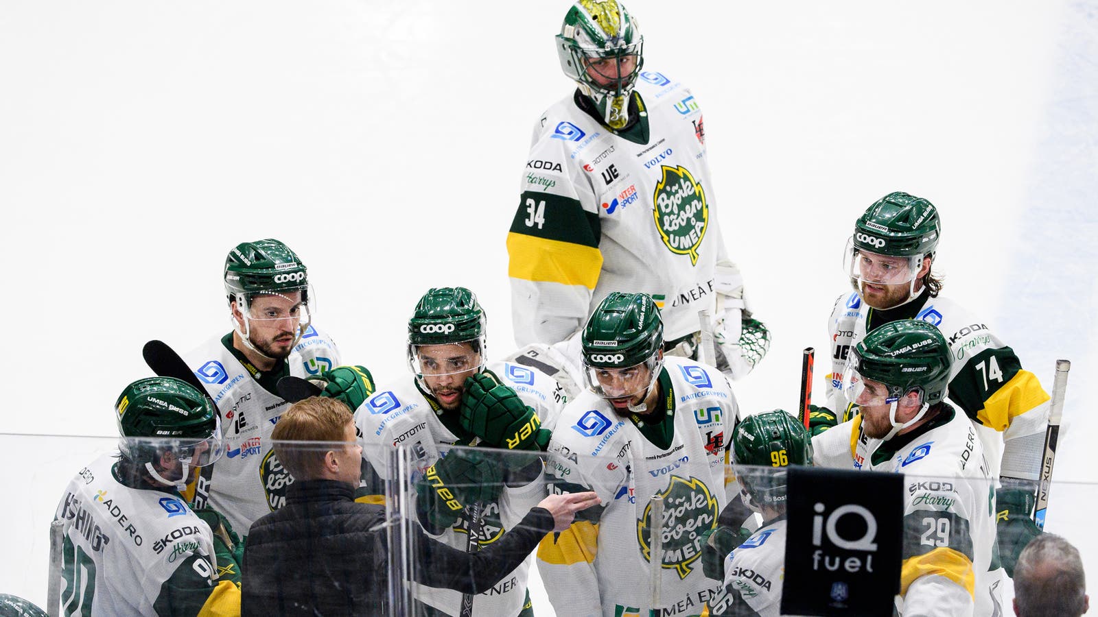 (19241) Björklöven