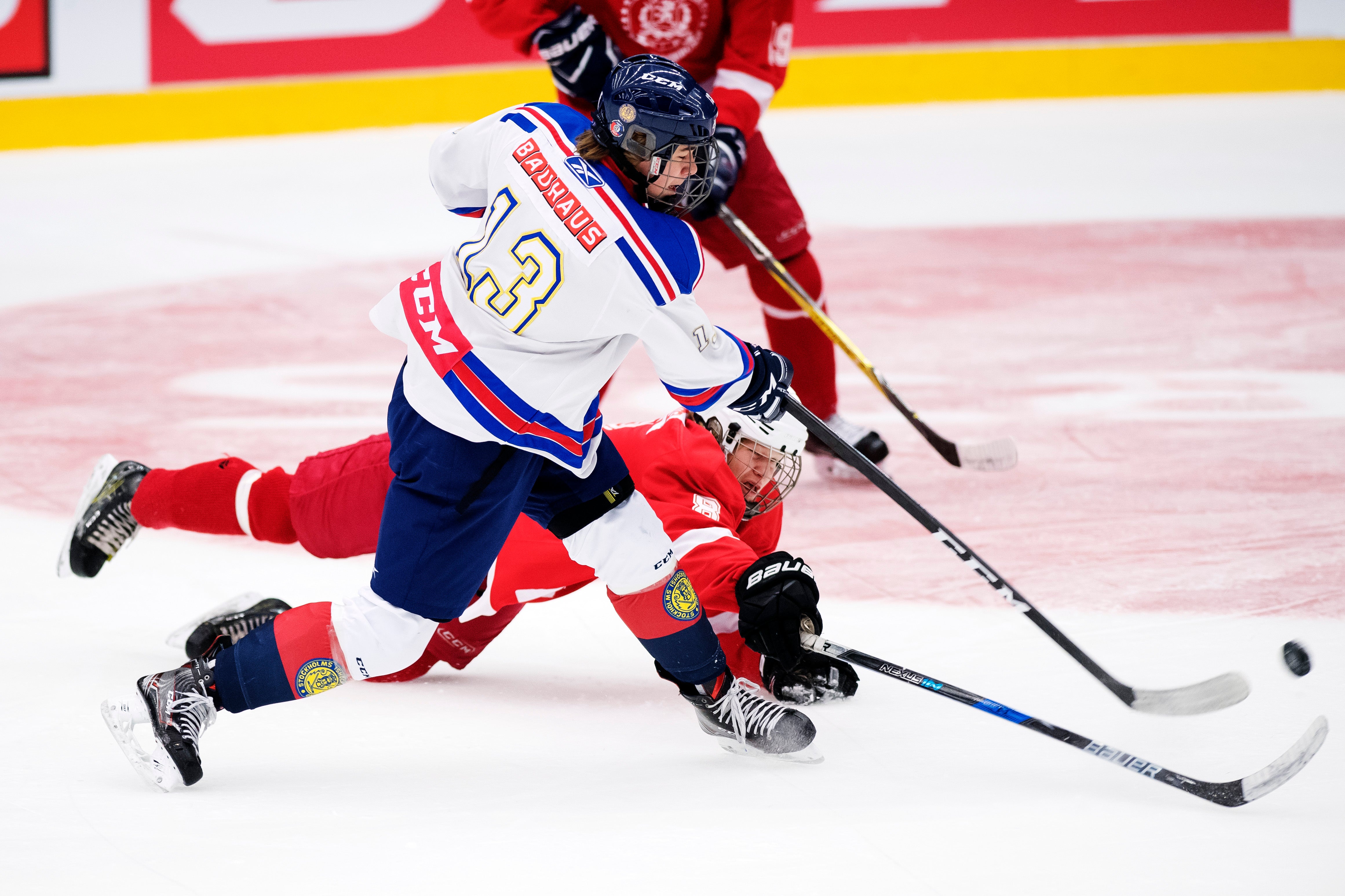 (2354) alexander holtz